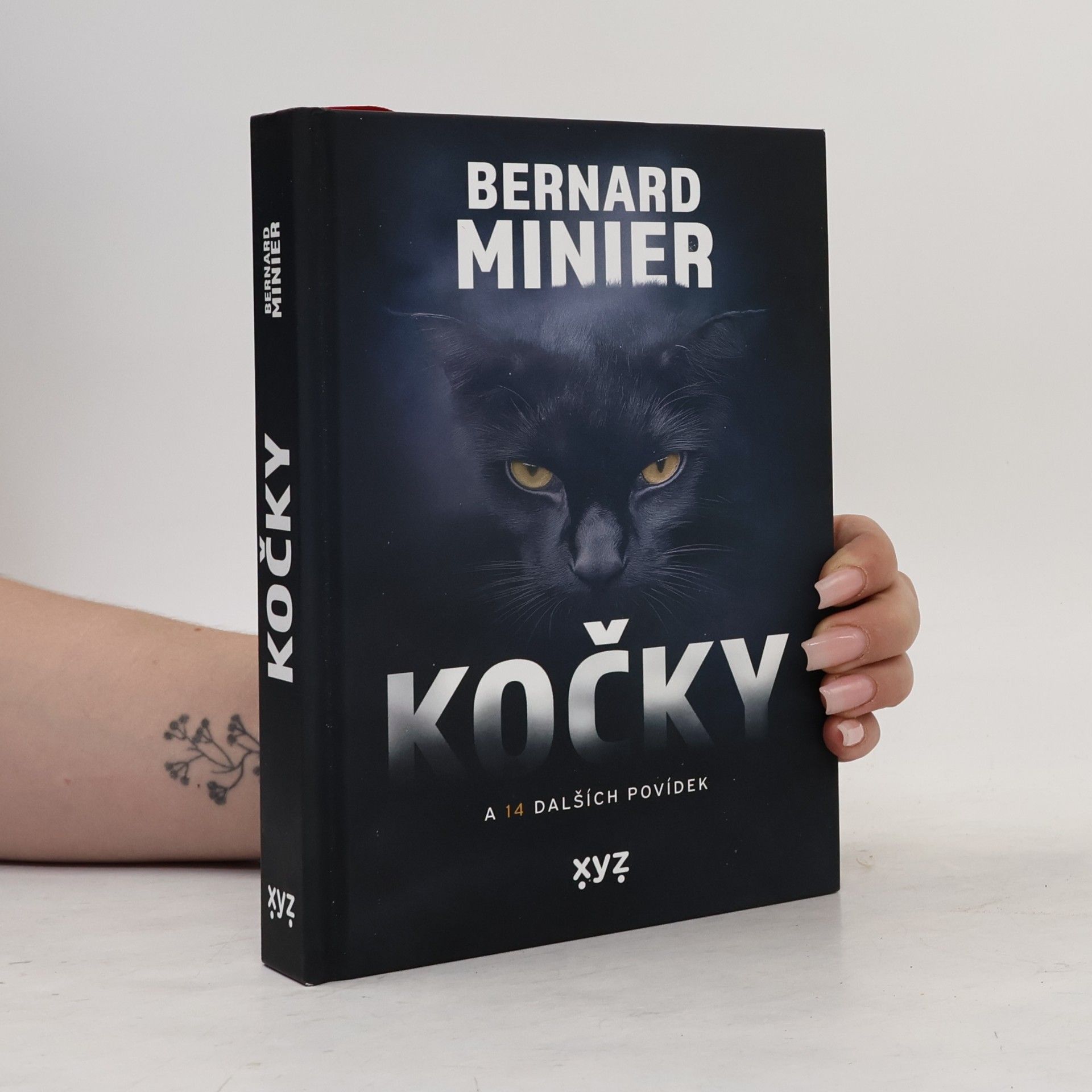 Bernard Minier Kočky