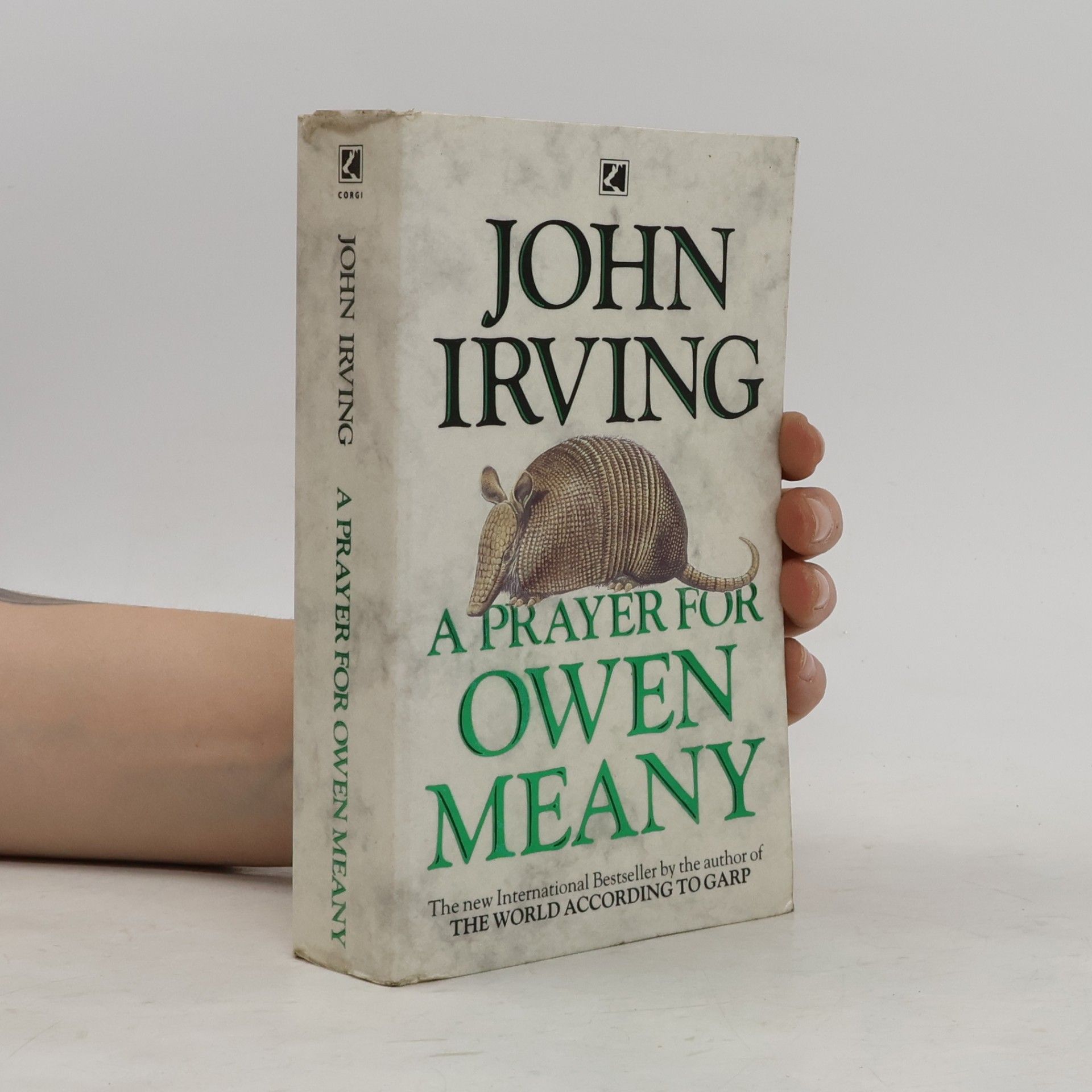 John Irving A Prayer for Owen Meany