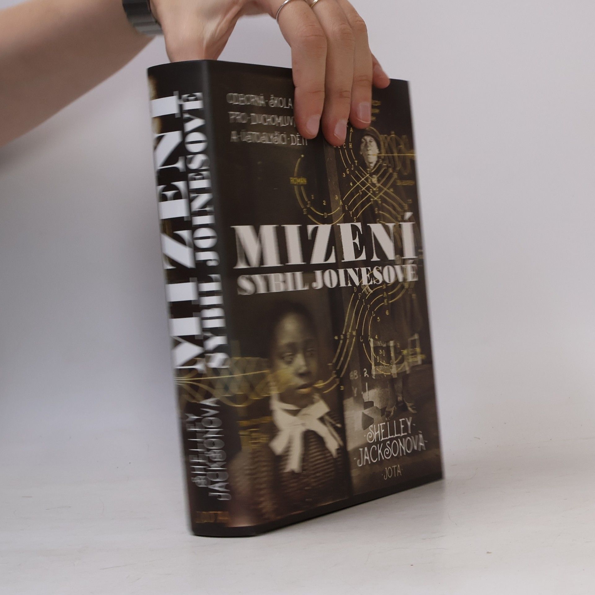 Shelley Jackson Mizení Sybil Joinesové
