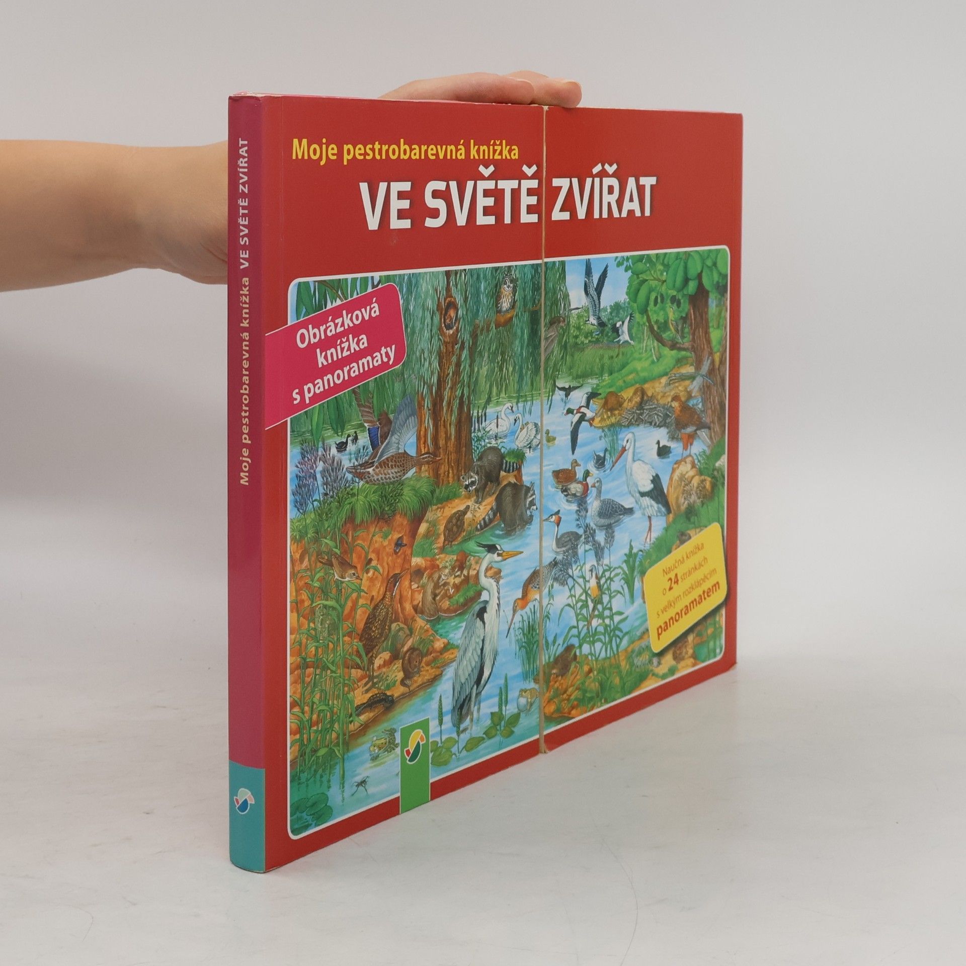 Anne Suess Meine kunterbunte Tierwelt