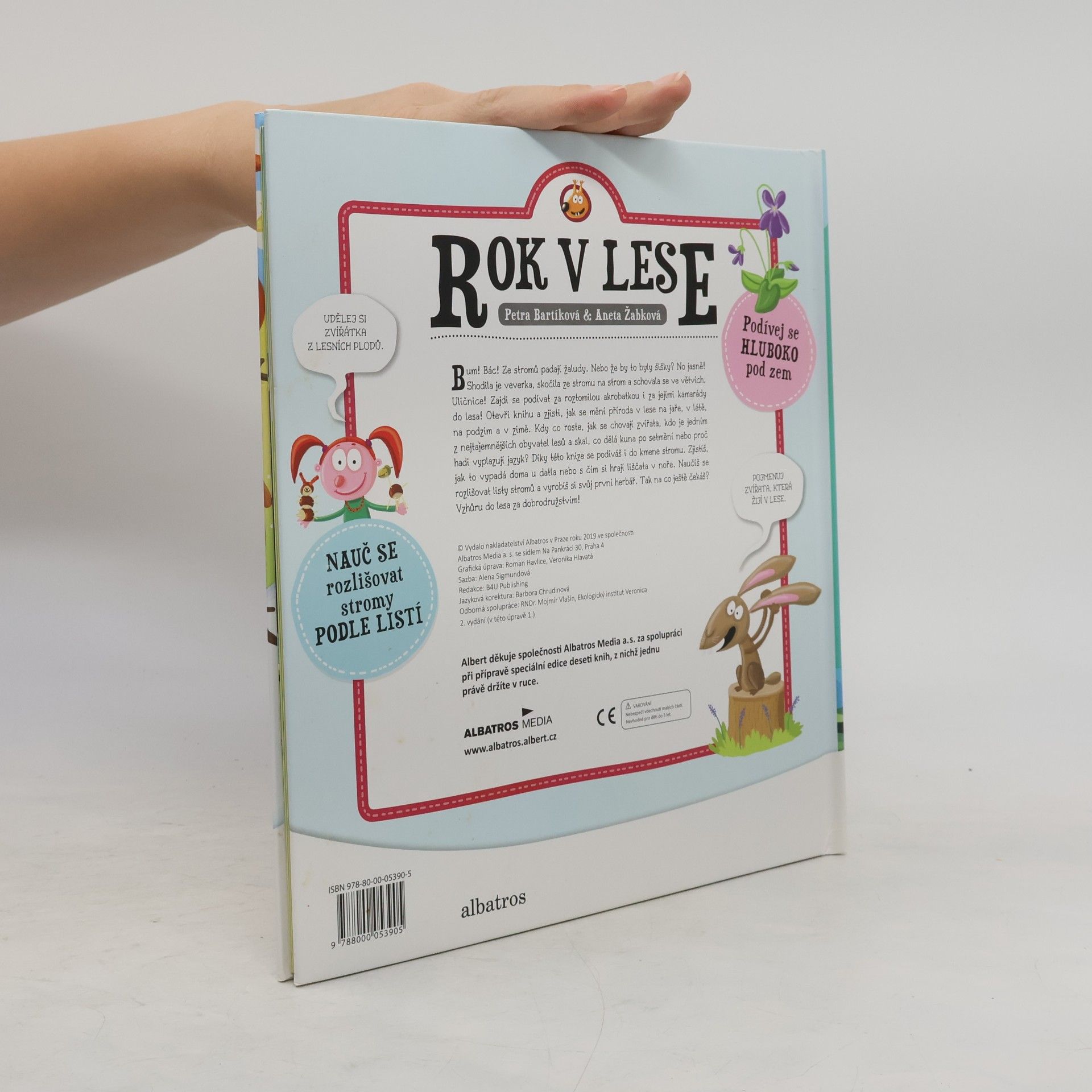 Autorenkollektiv Rok v lese