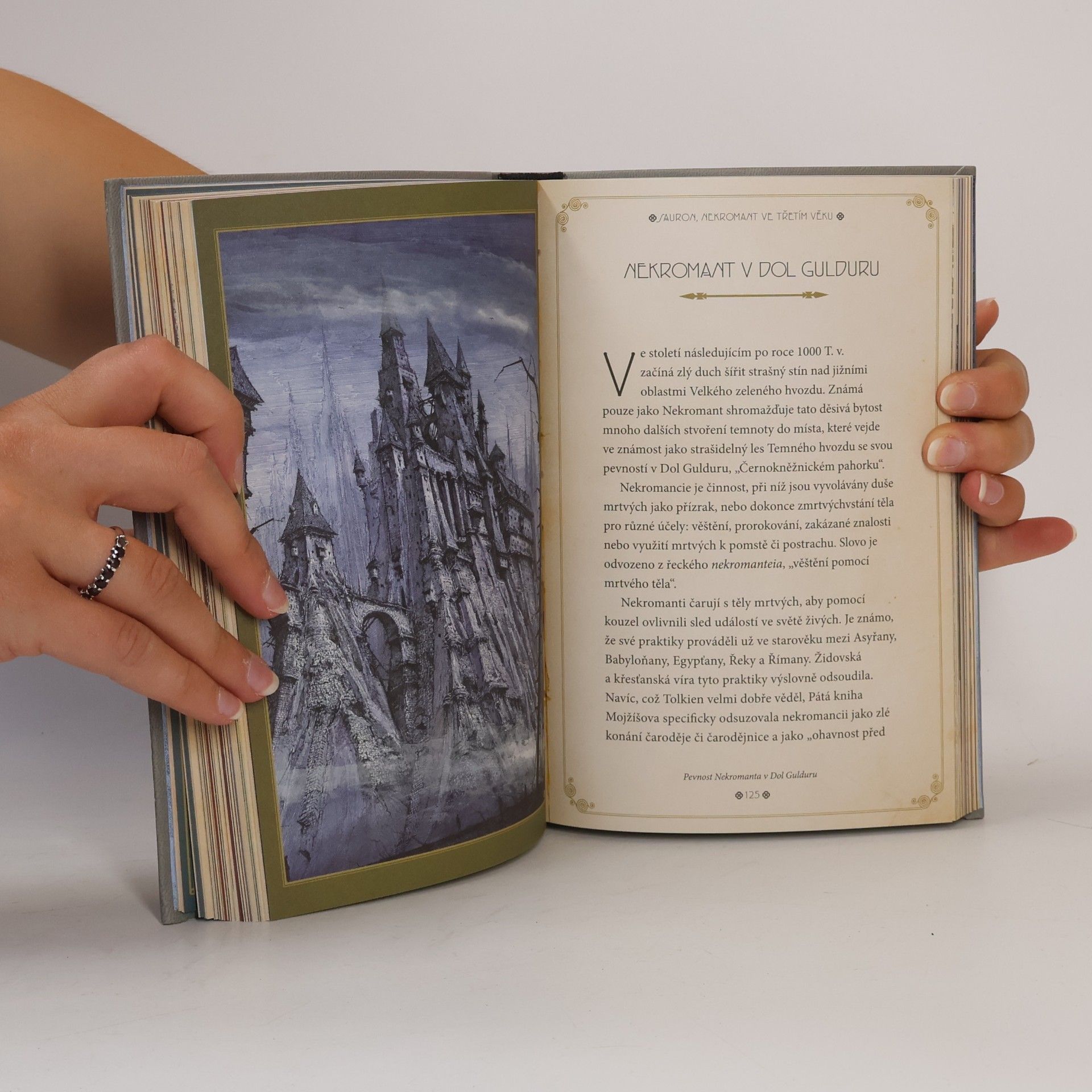 David Day Tolkienovy temné síly
