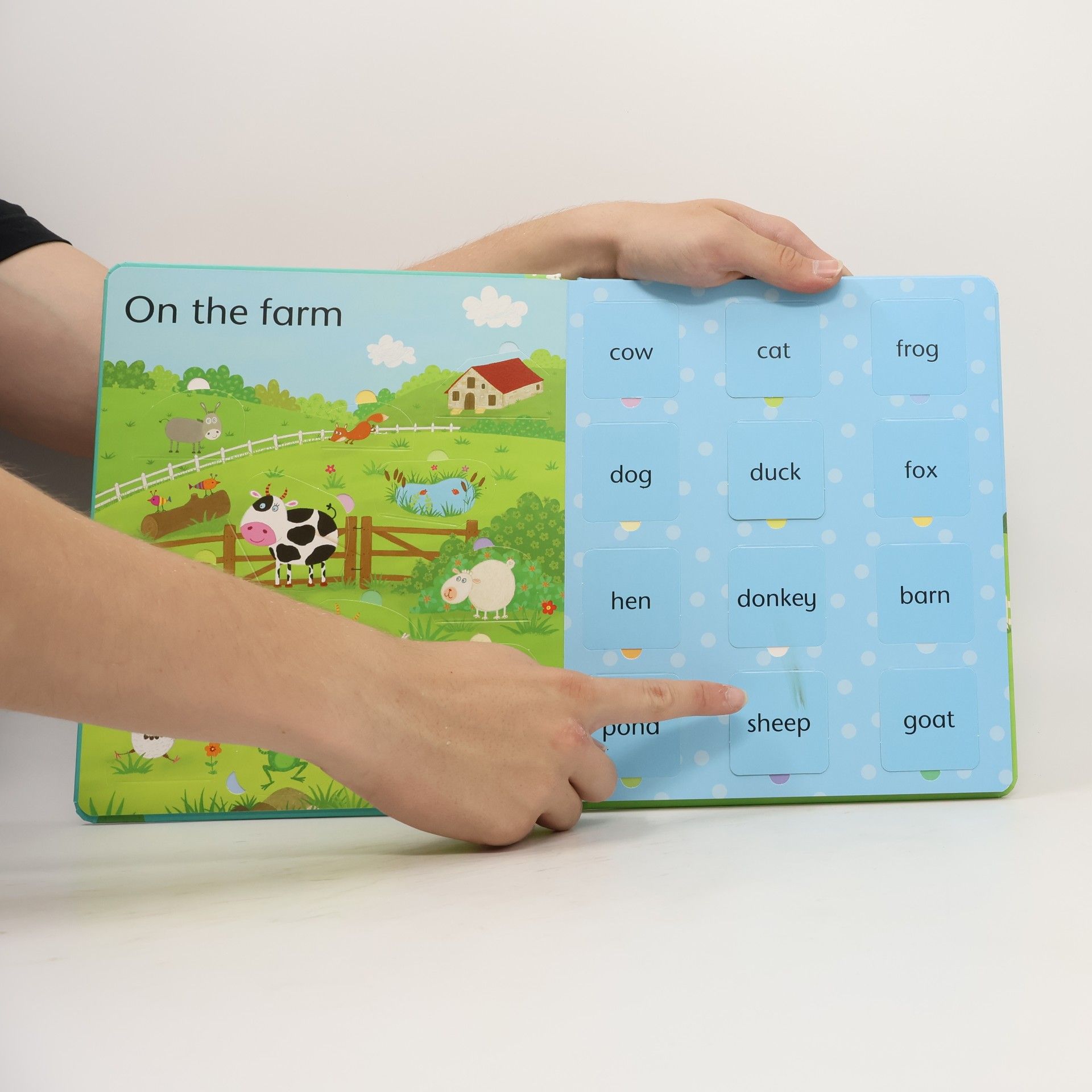 Felicity Brooks Lift-the-flap : Word book