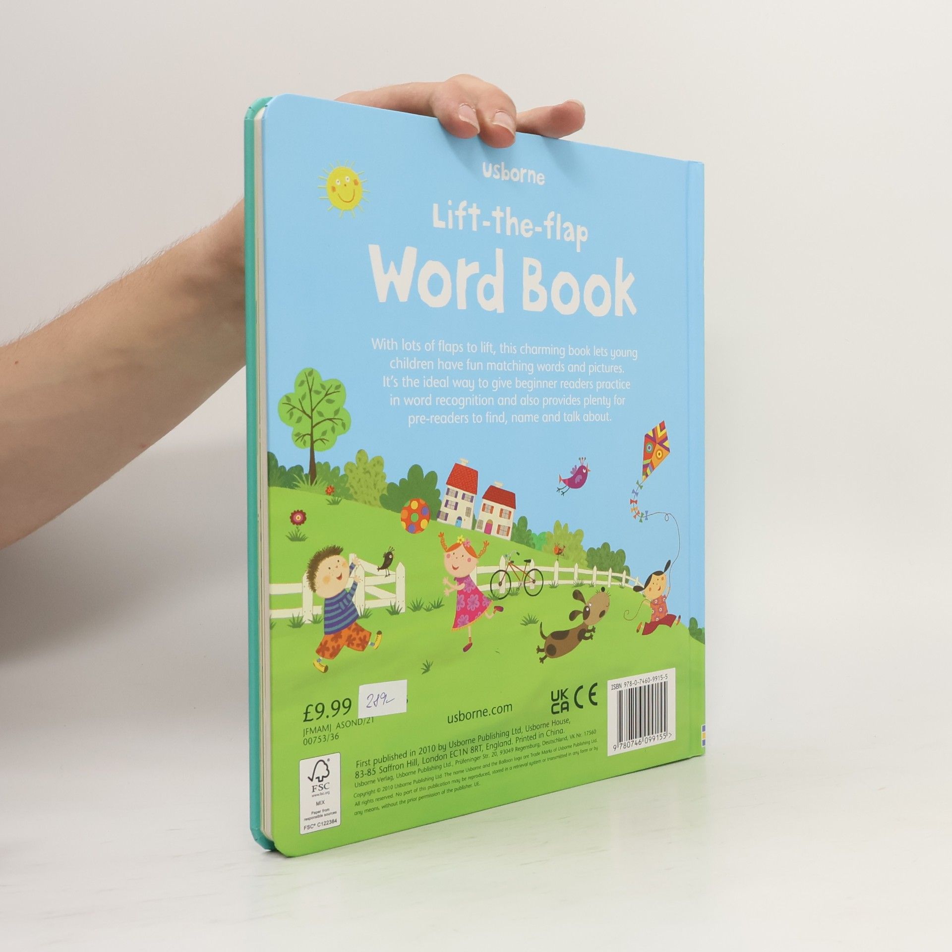 Felicity Brooks Lift-the-flap : Word book