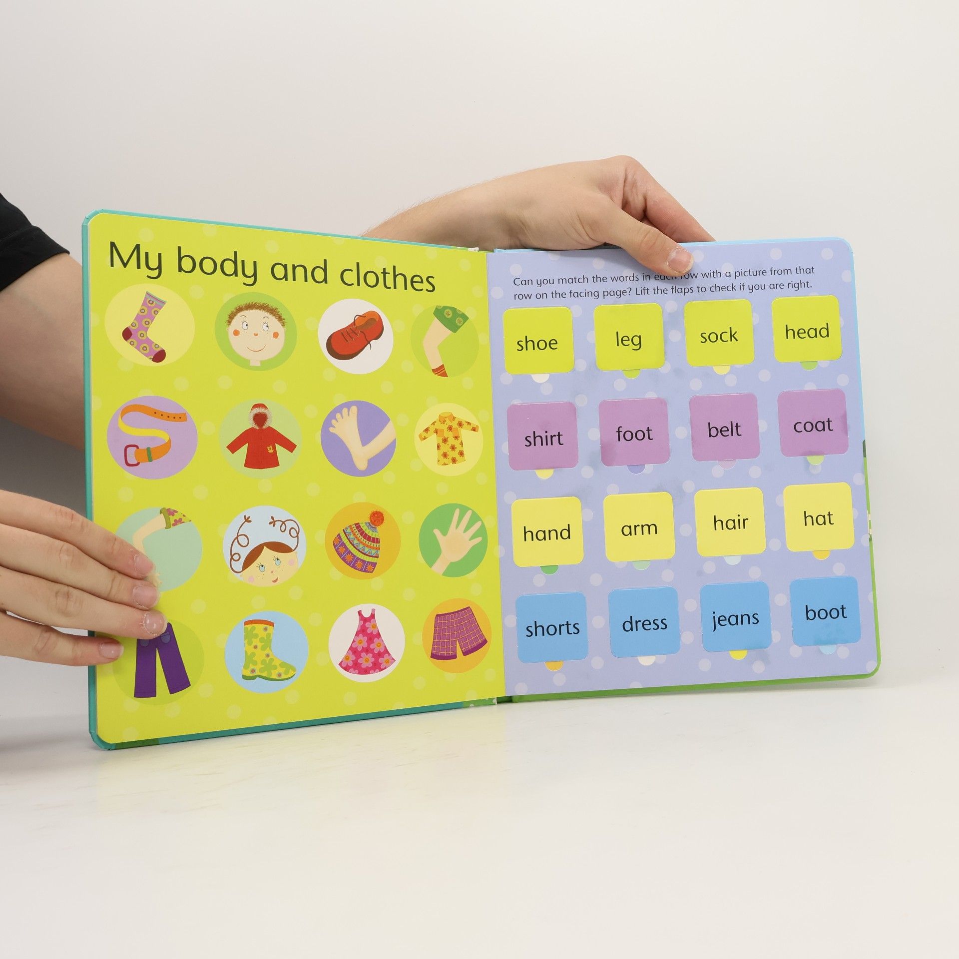 Felicity Brooks Lift-the-flap : Word book