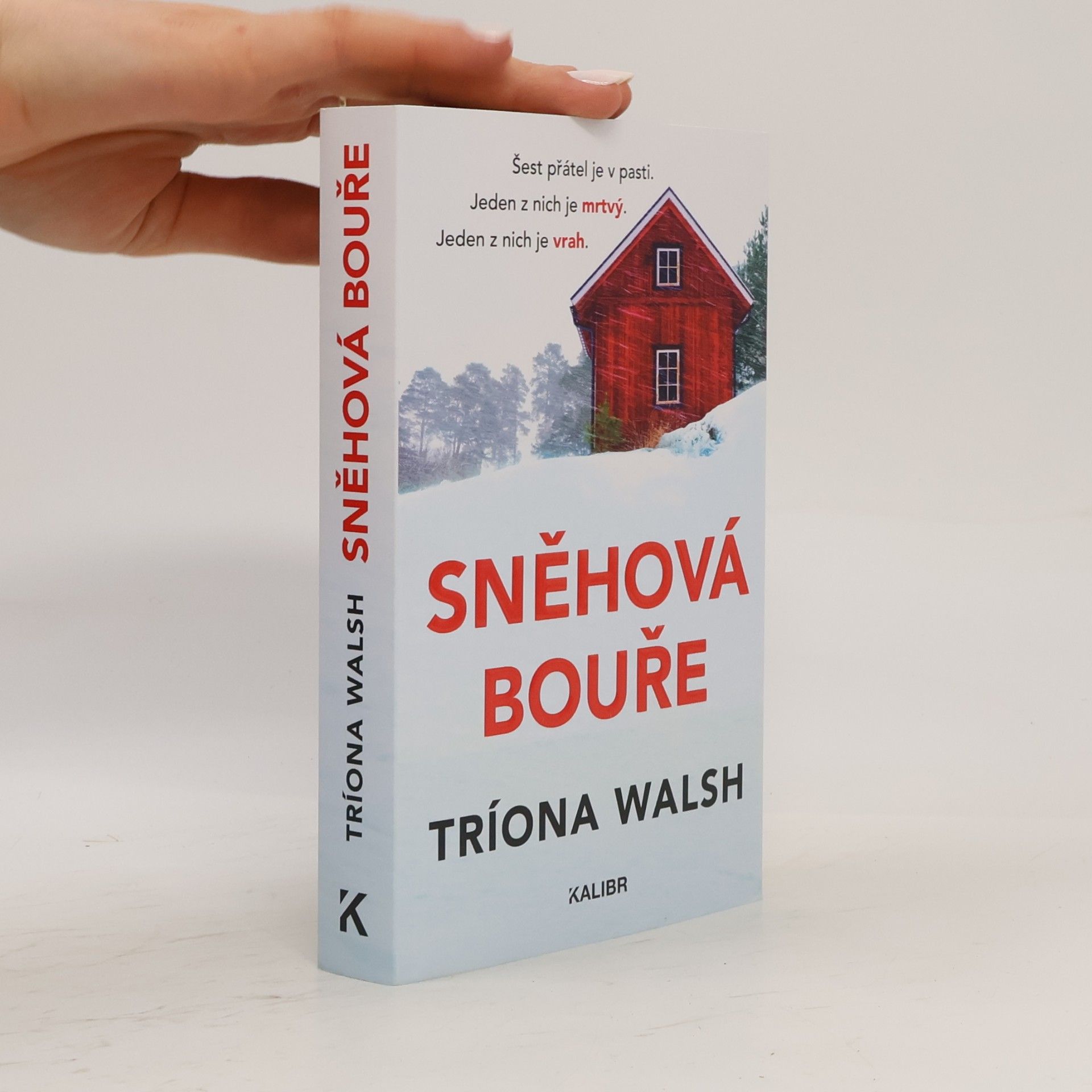 Tríona Walsh Sněhová bouře