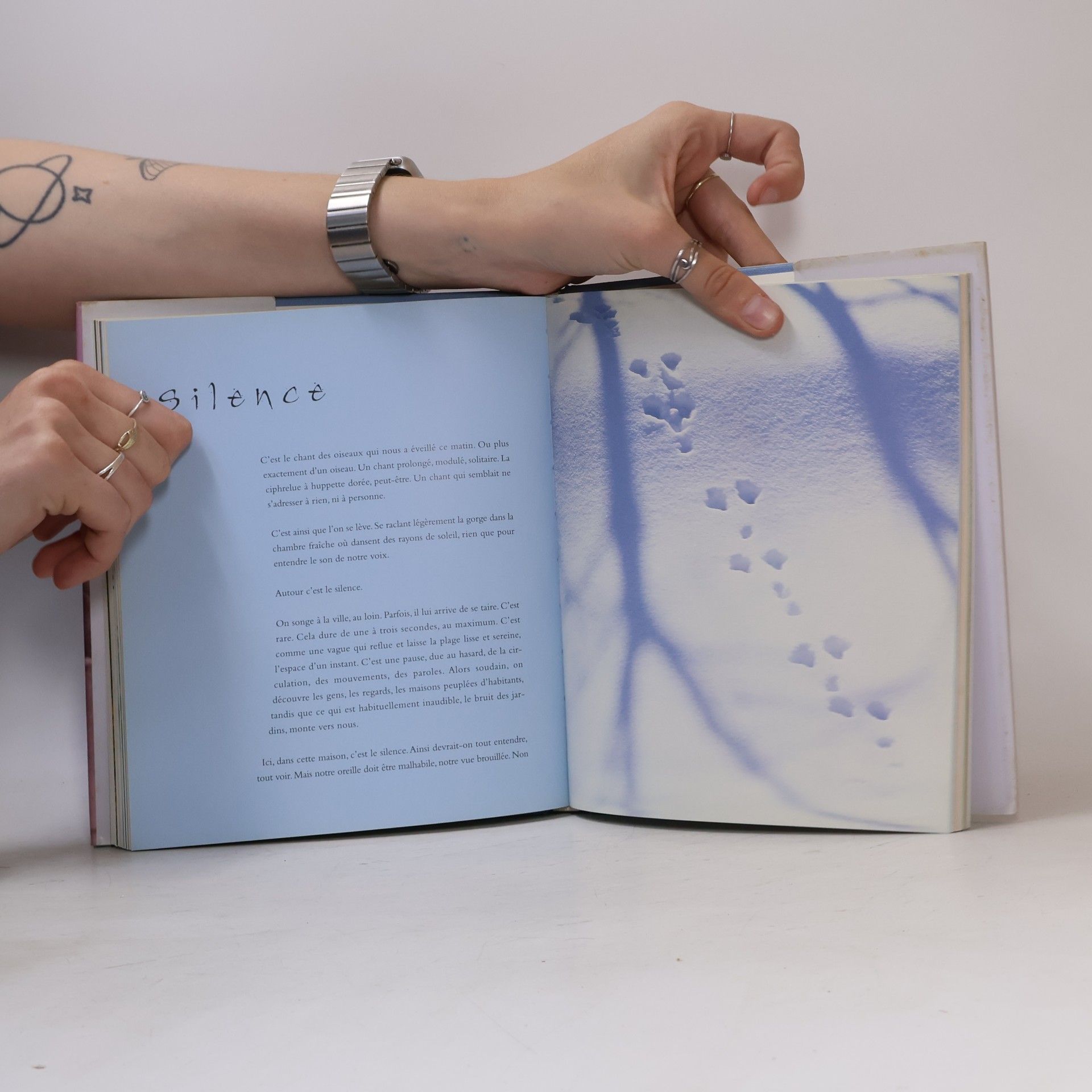 Catherine Laroze L'art de ne rien faire