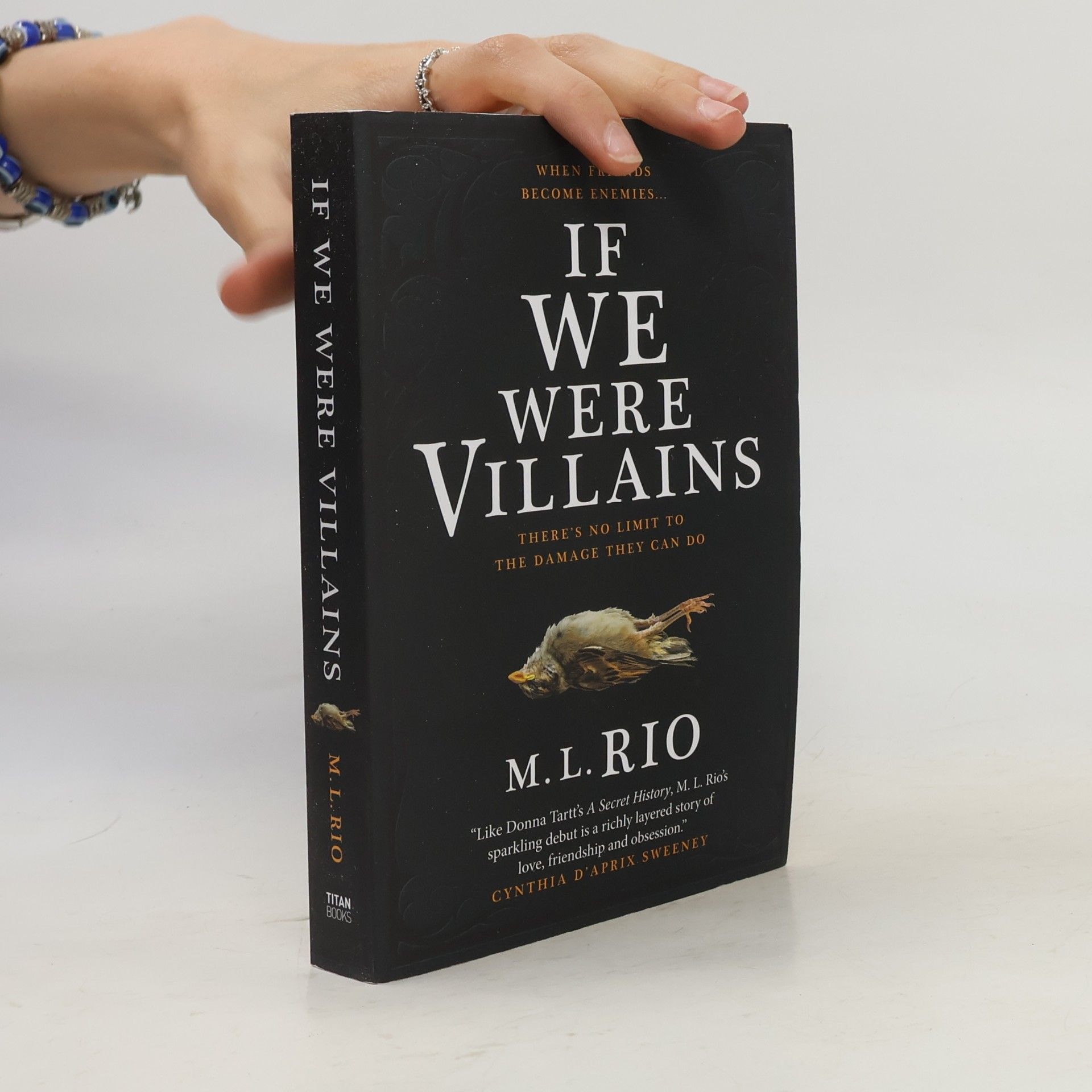 M. L. Rio If We Were Villains