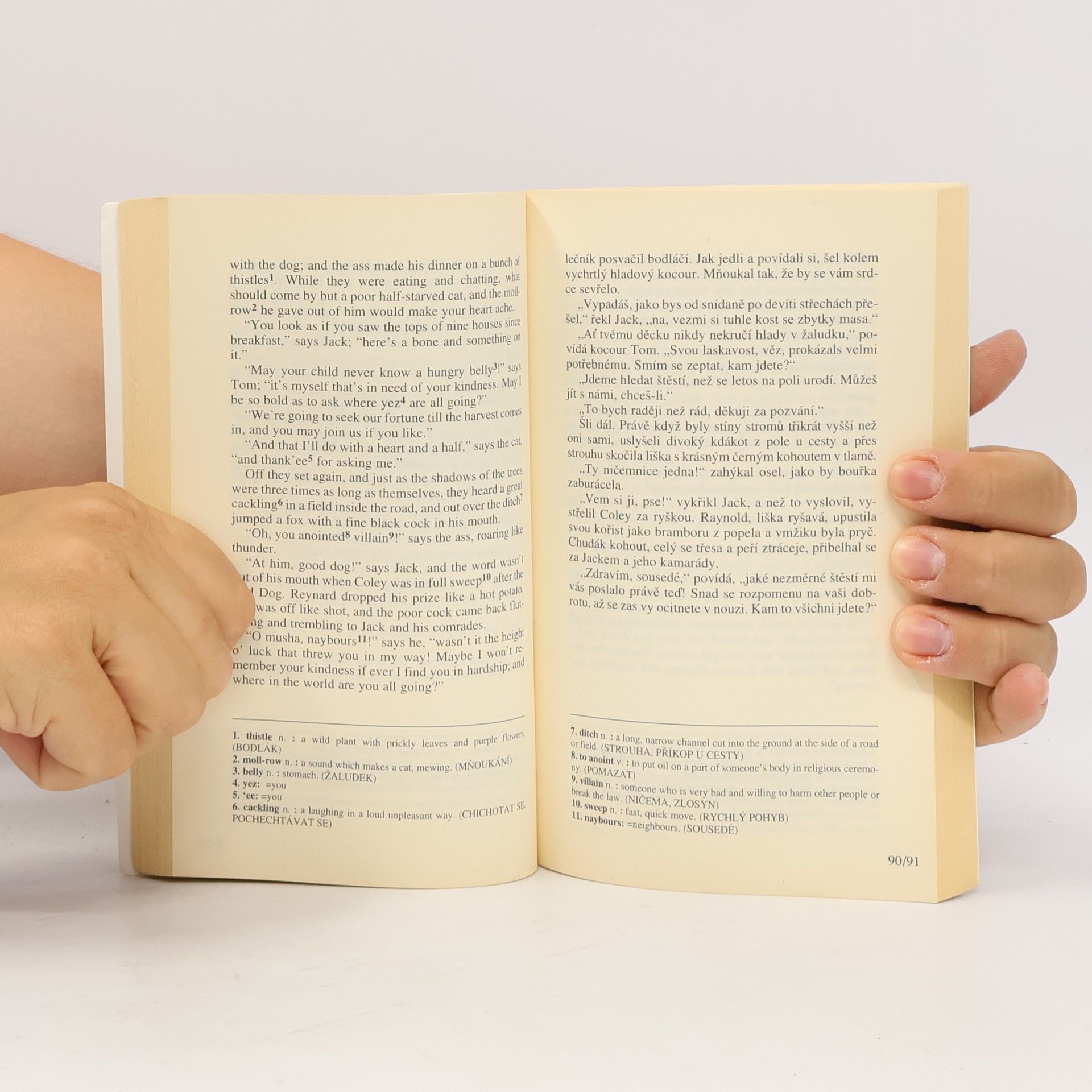 Jiřina Zachová Celtic Fairy Tales. Keltské pohádky