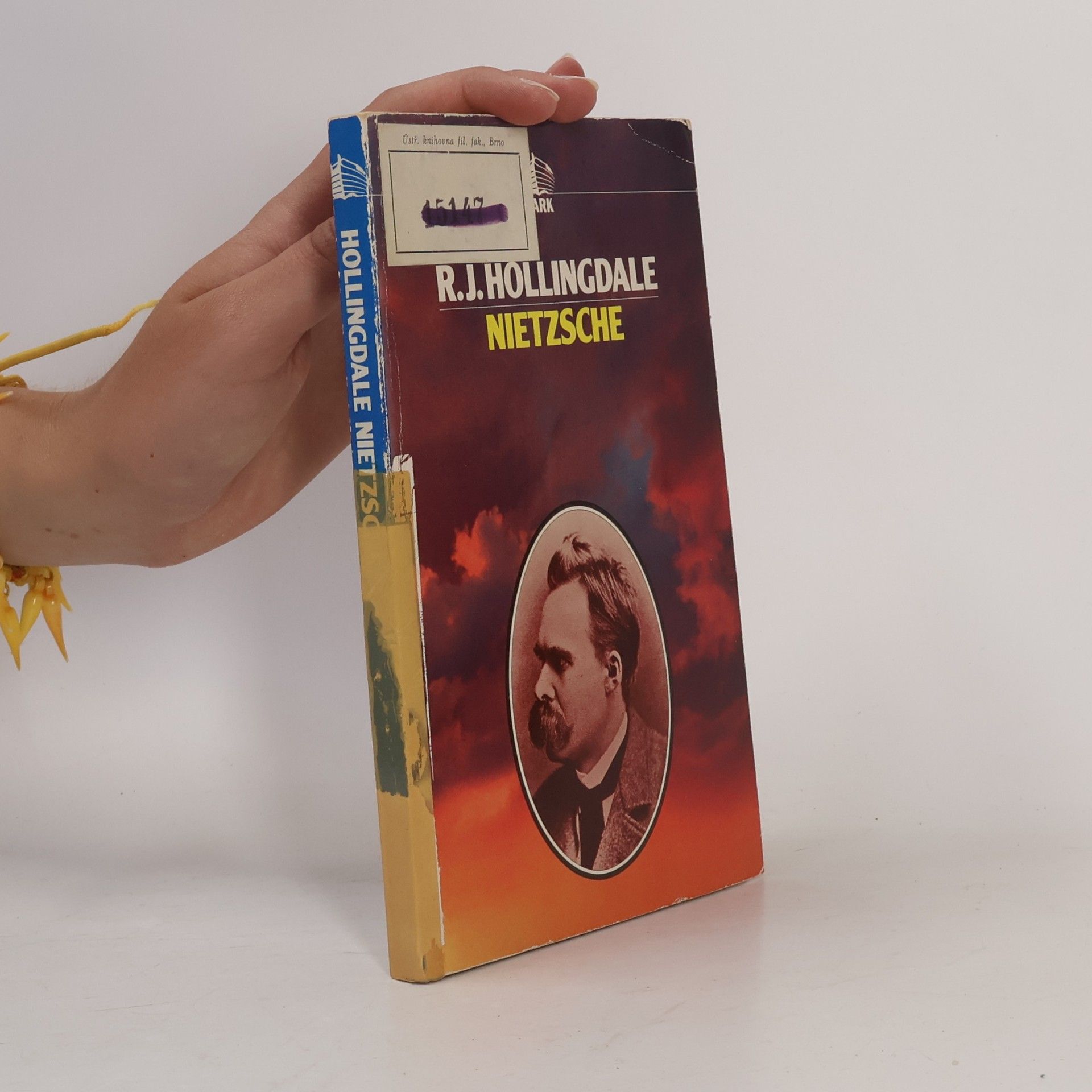 R. J. Hollingdale Nietzsche
