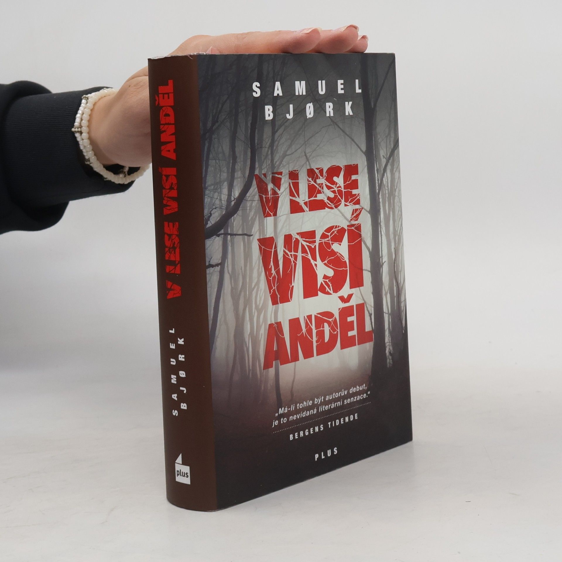 Samuel Bjork V lese visí anděl