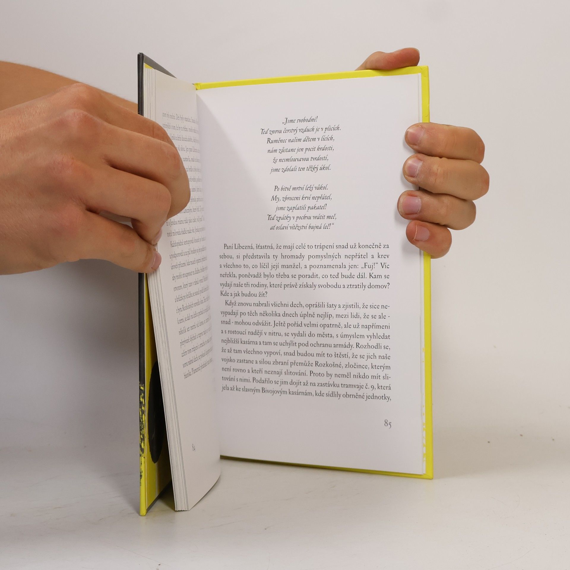 Arnošt Goldflam Standa a dům hrůzy