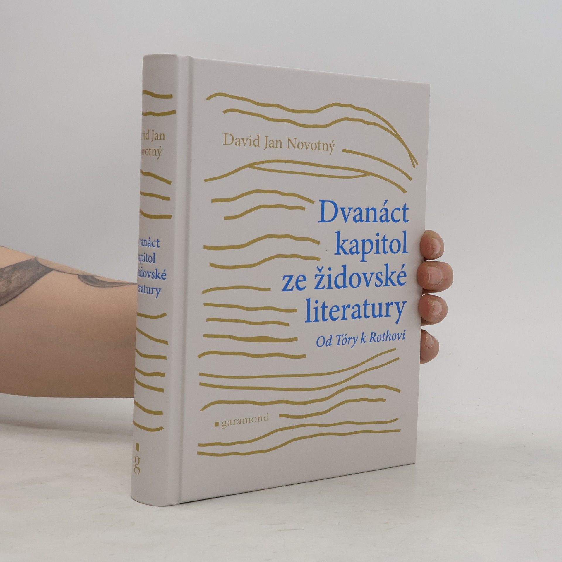 David Jan Novotný Dvanáct kapitol ze židovské literatury: Od Tóry k Rothovi