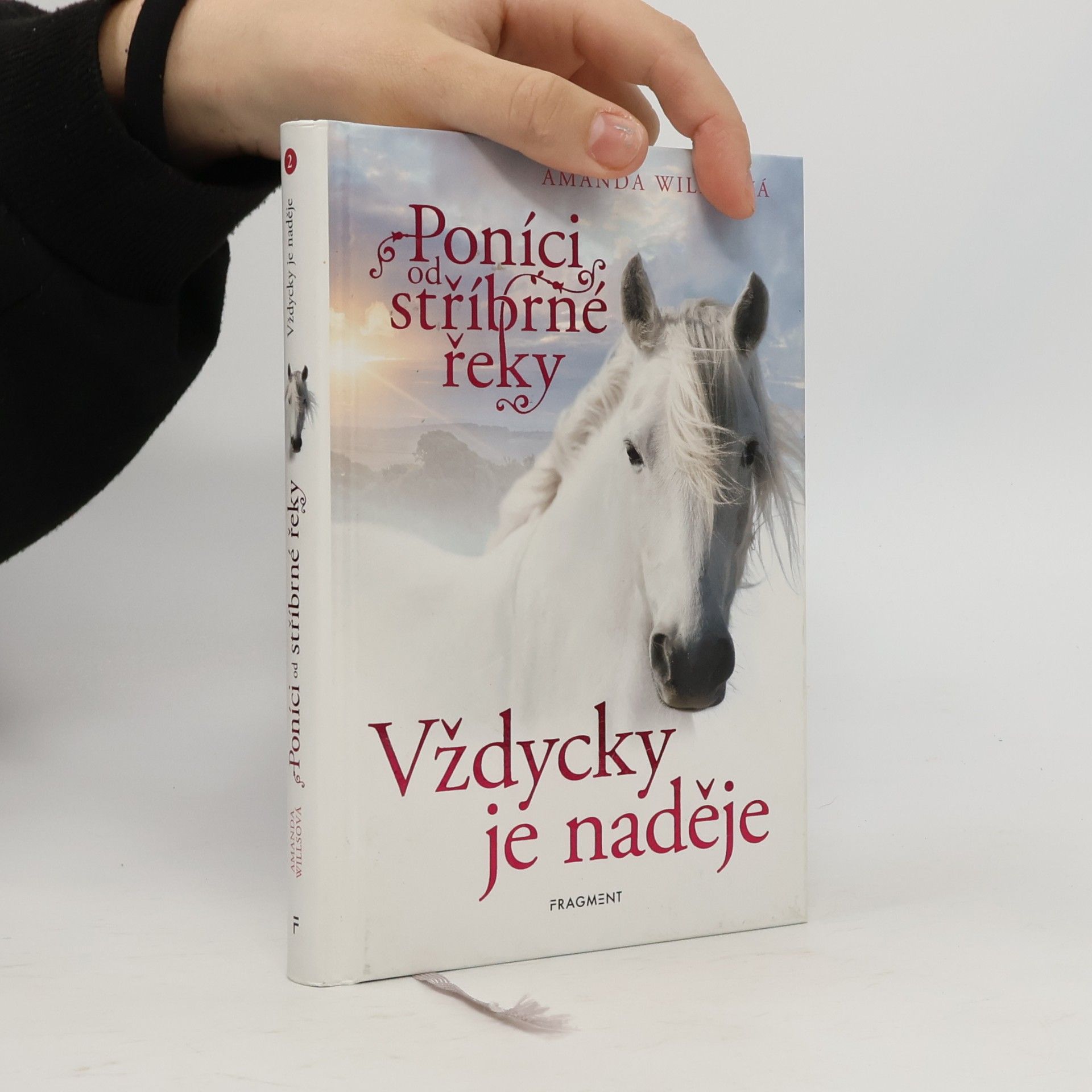 Amanda Wills Vždycky je naděje
