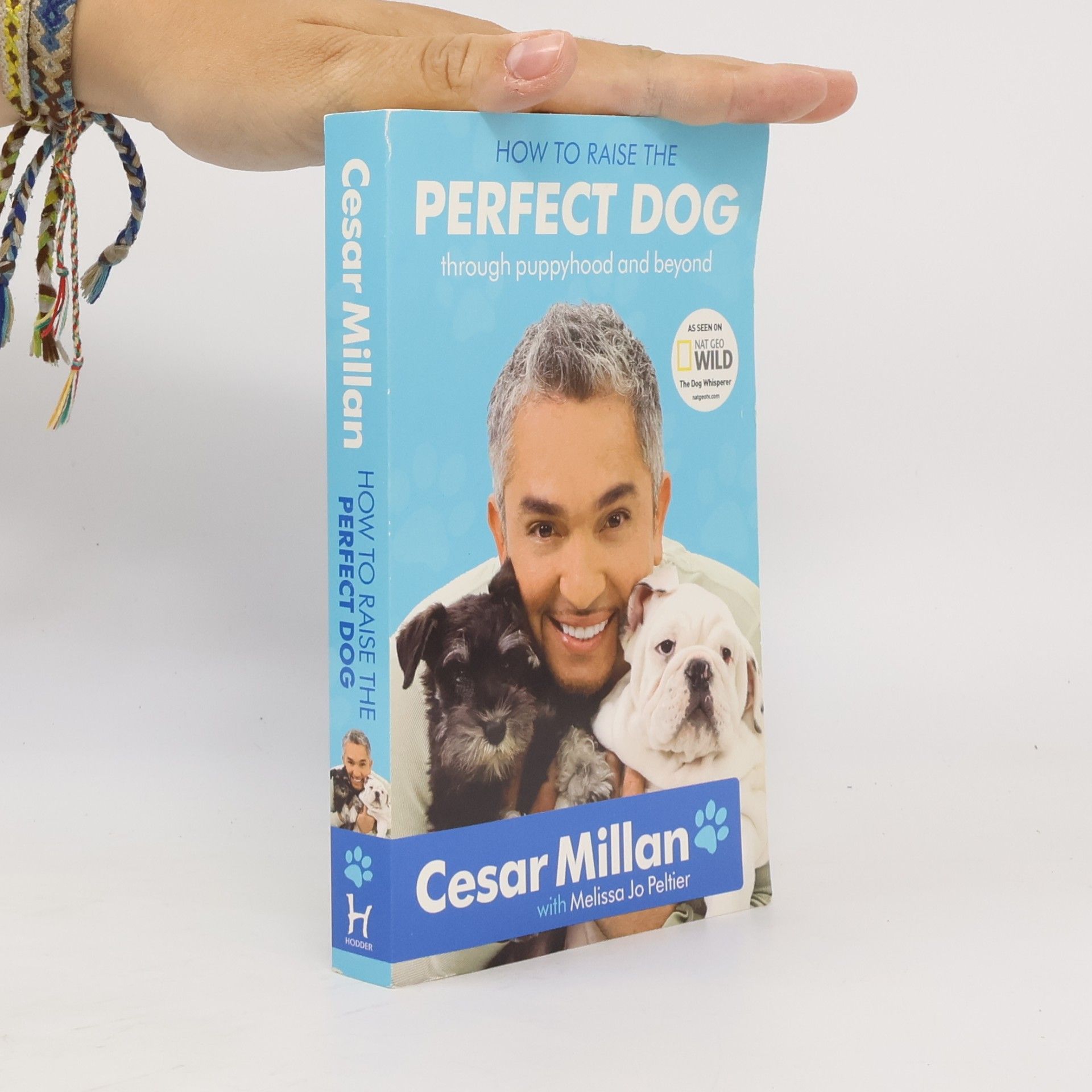 Cesar Millan How to Raise the Perfect Dog