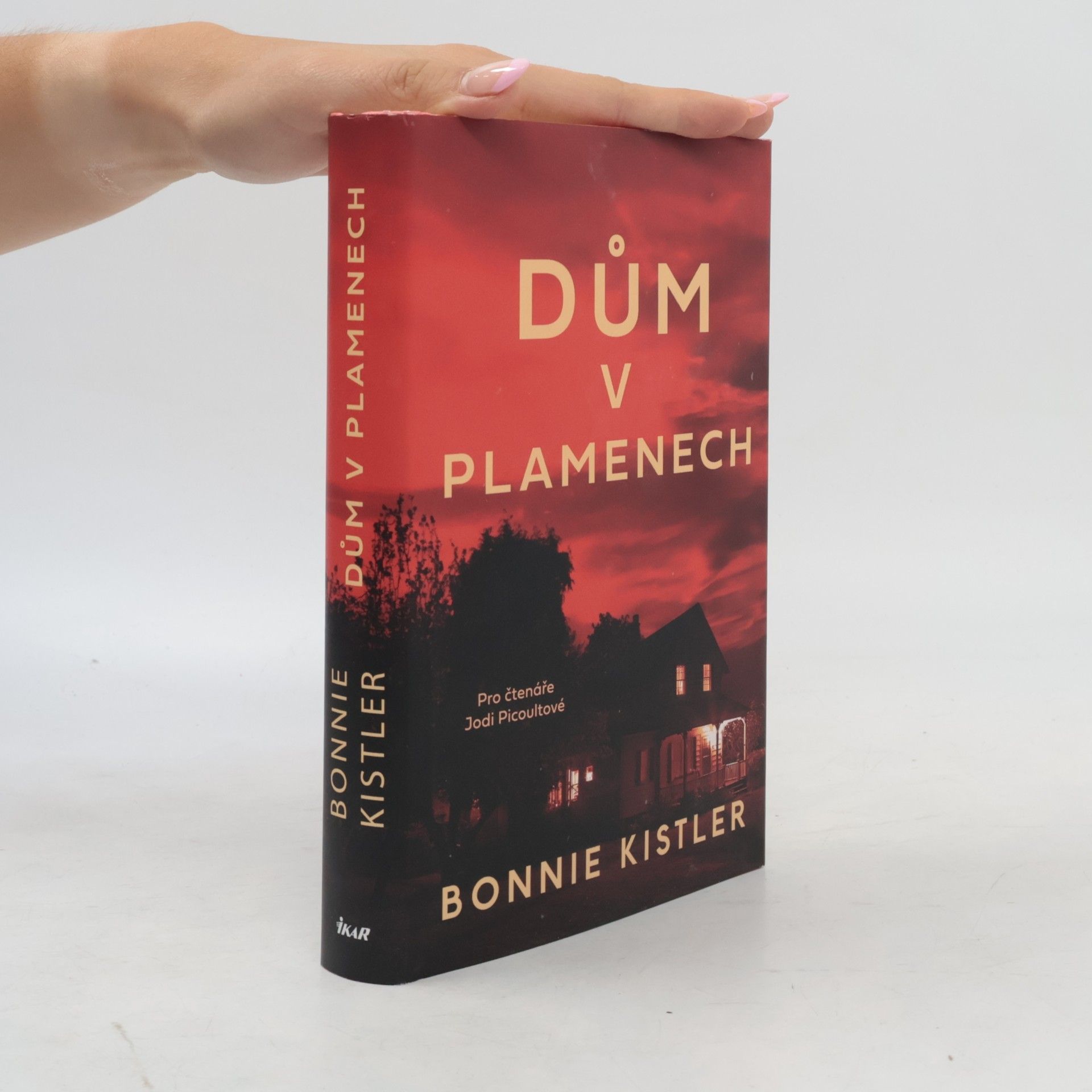Bonnie Kistler Dům v plamenech