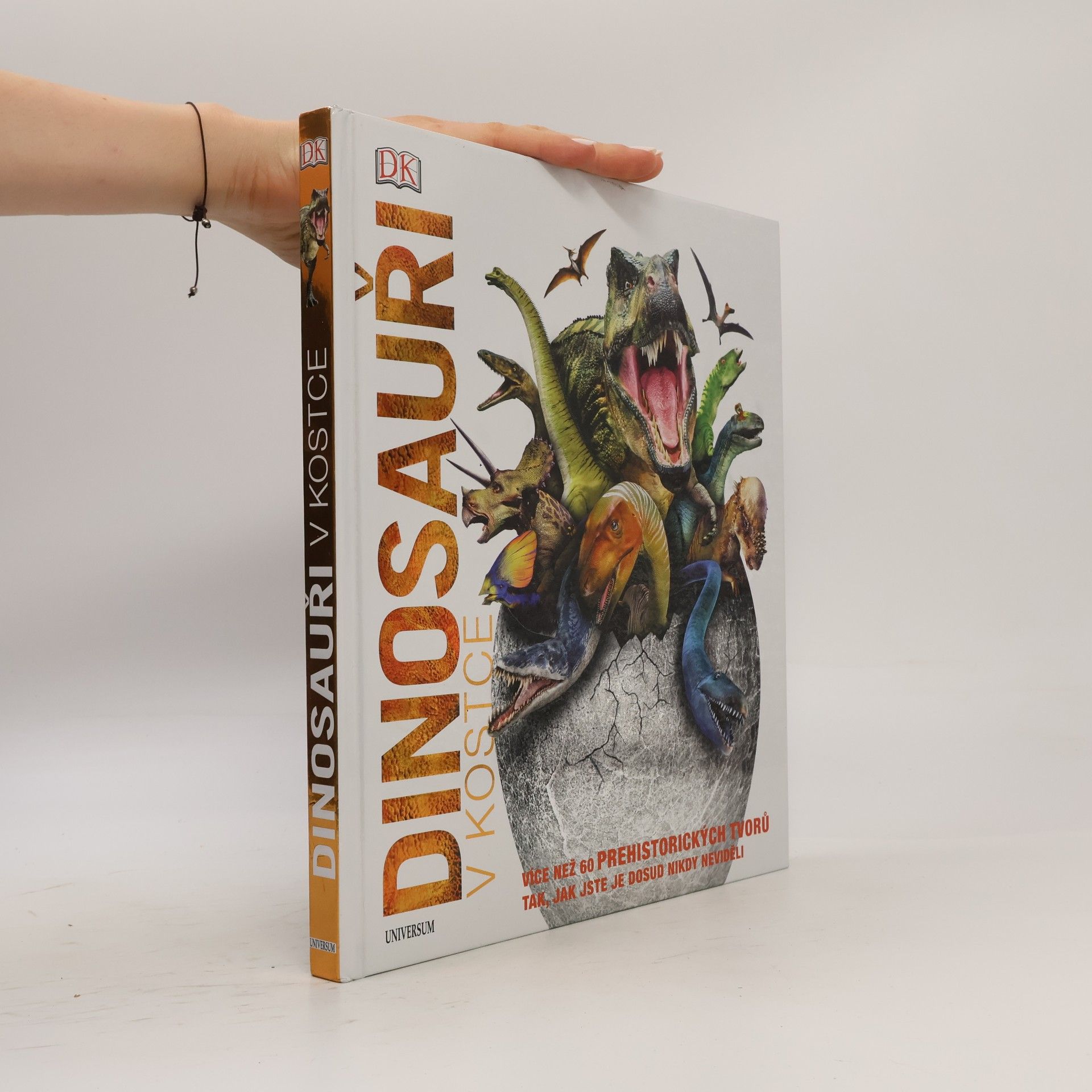 Auteurscollectief Dinosauři v kostce