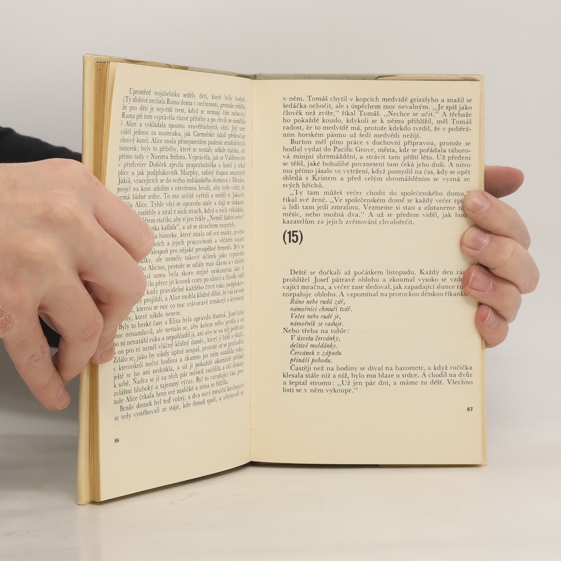 John Steinbeck Neznámému bohu