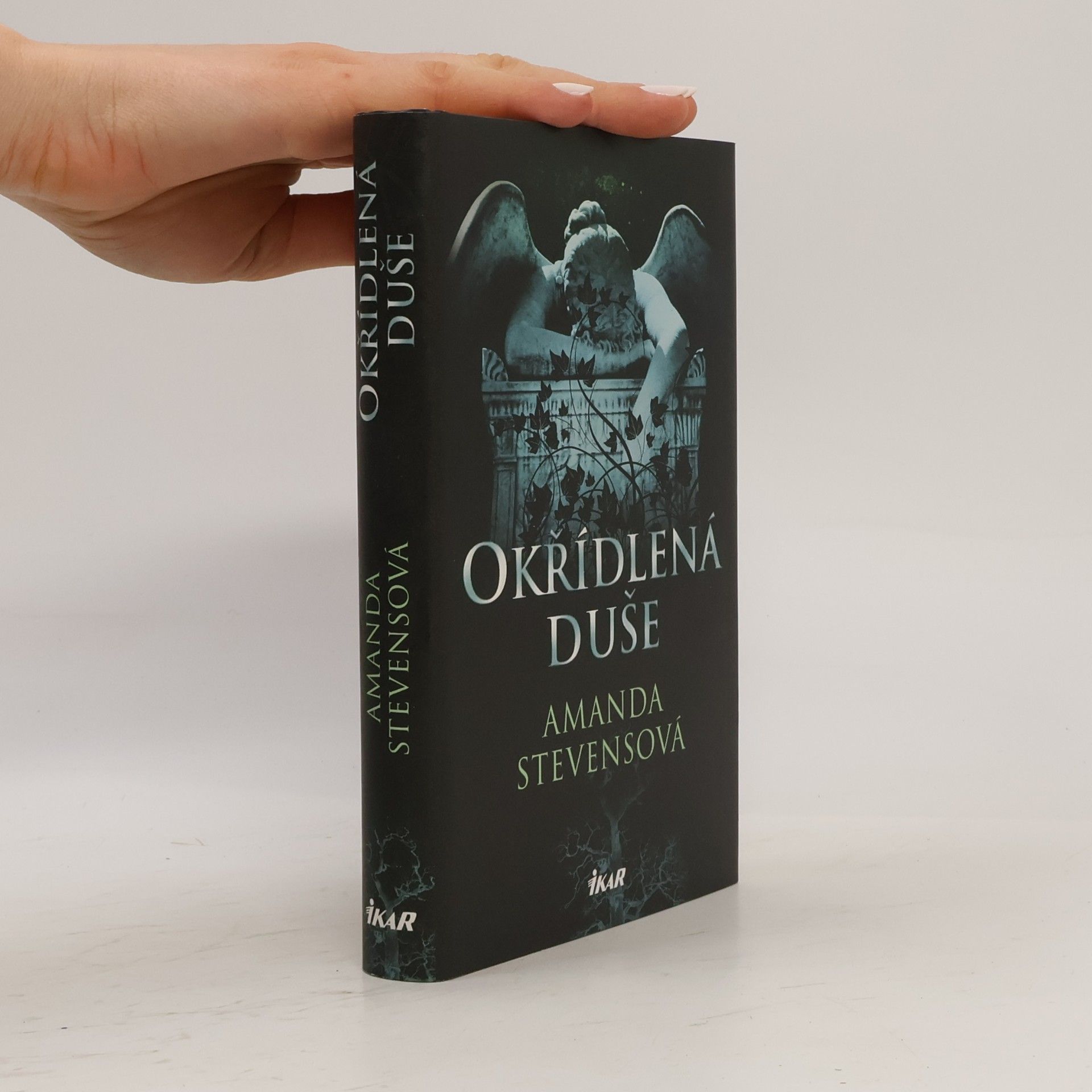 Amanda Stevens Okřídlená duše