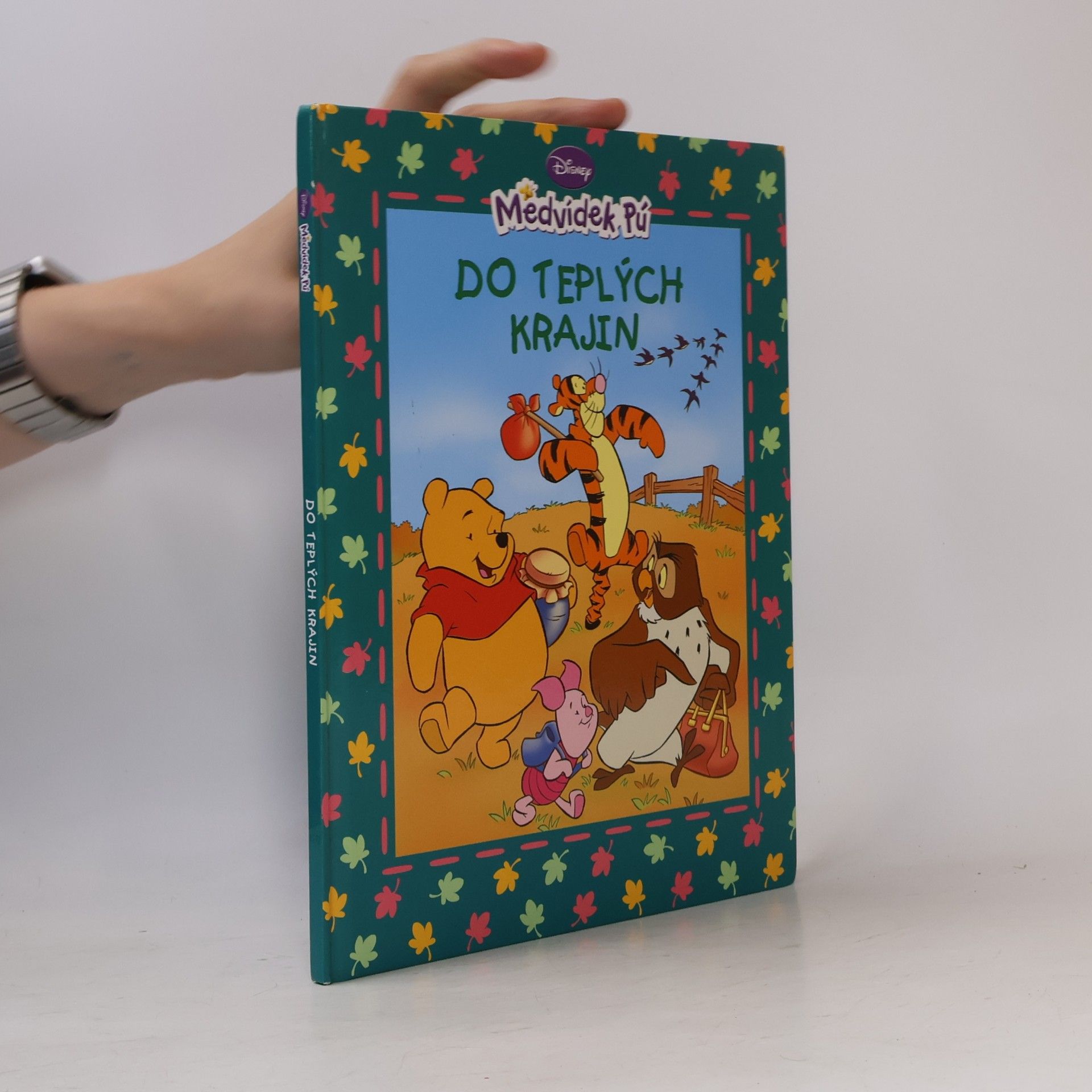 Walt Disney Medvídek Pú - Do teplých krajin