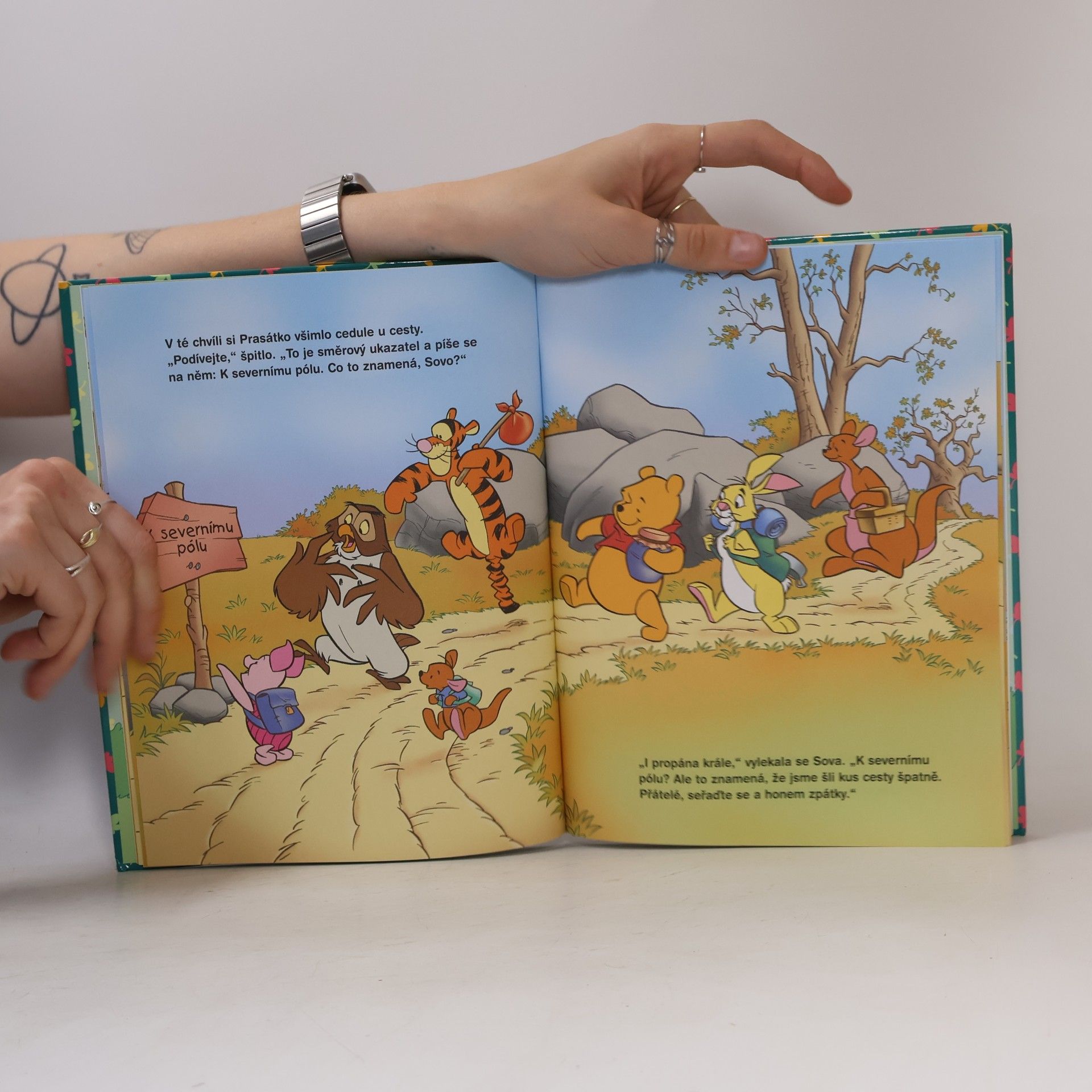 Walt Disney Medvídek Pú - Do teplých krajin