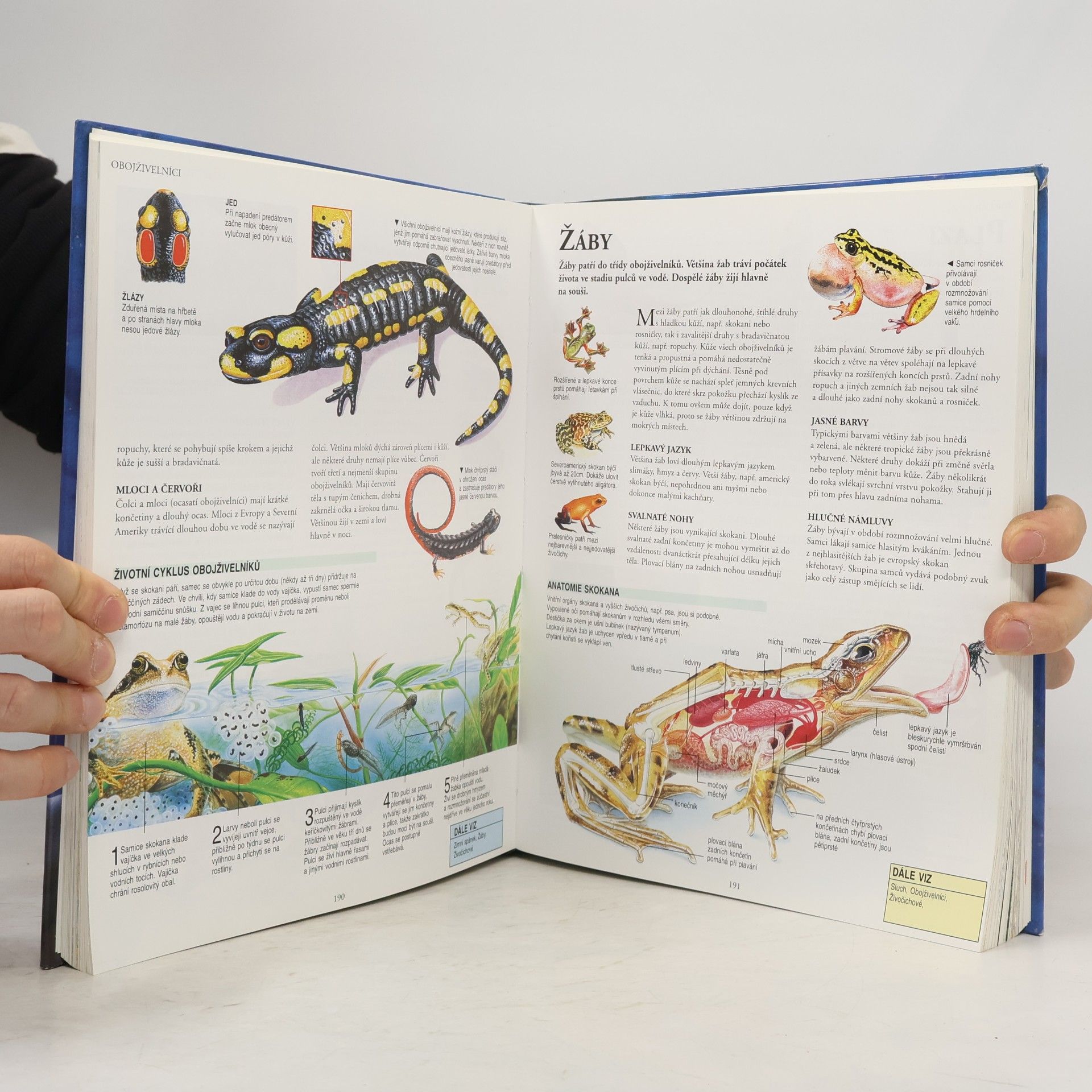 Autorenkollektiv Velká dětská všeobecná encyklopedie