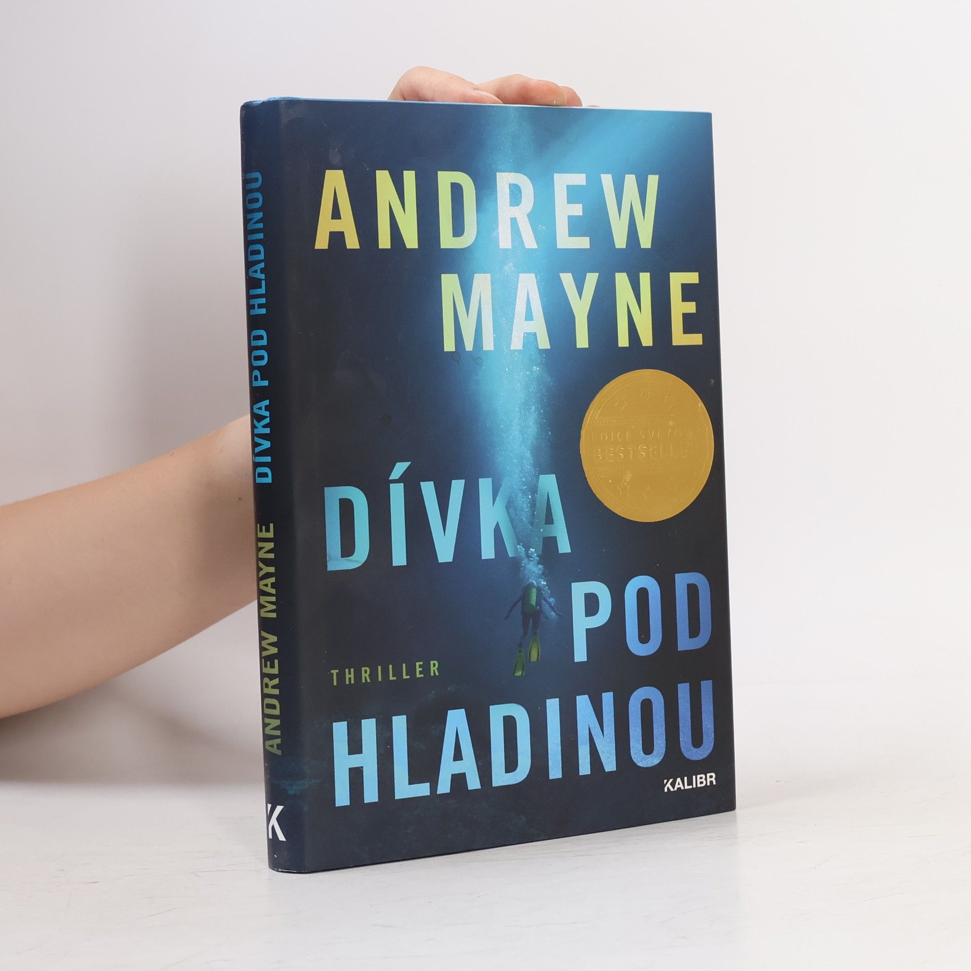 Andrew Mayne Dívka pod hladinou