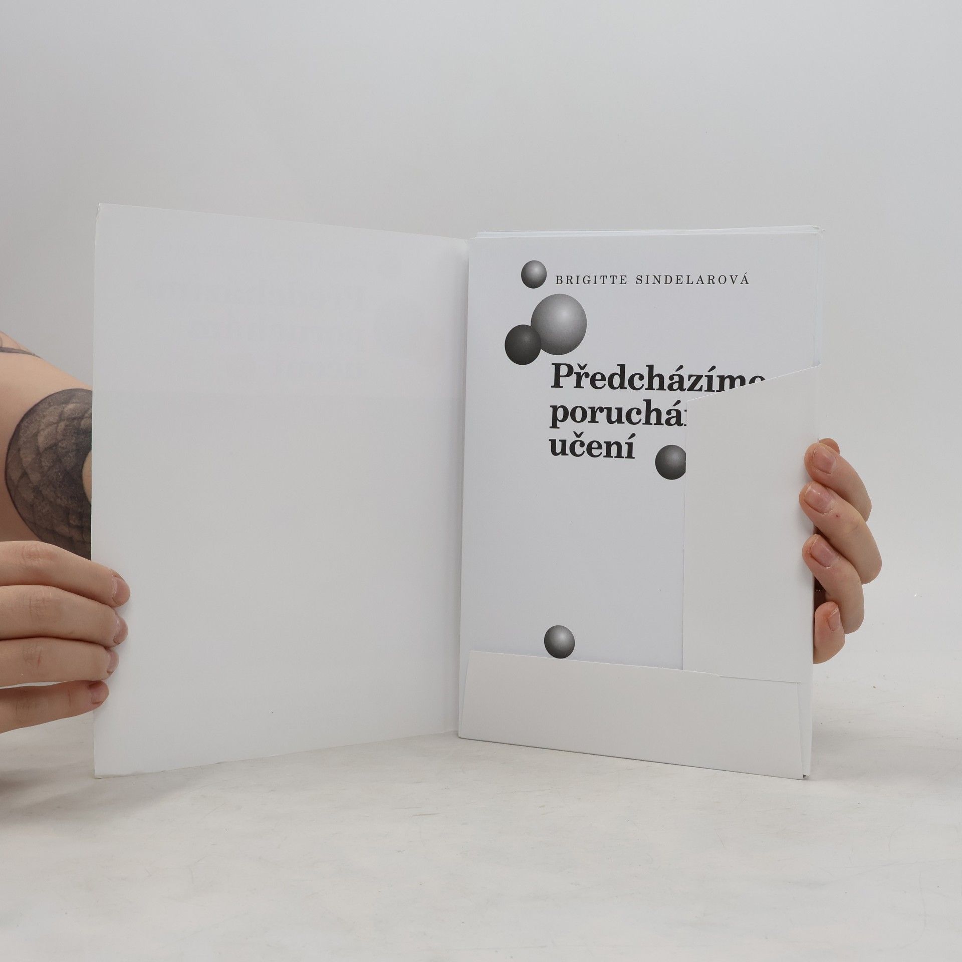 Brigitte Sindelar Předcházíme poruchám učení