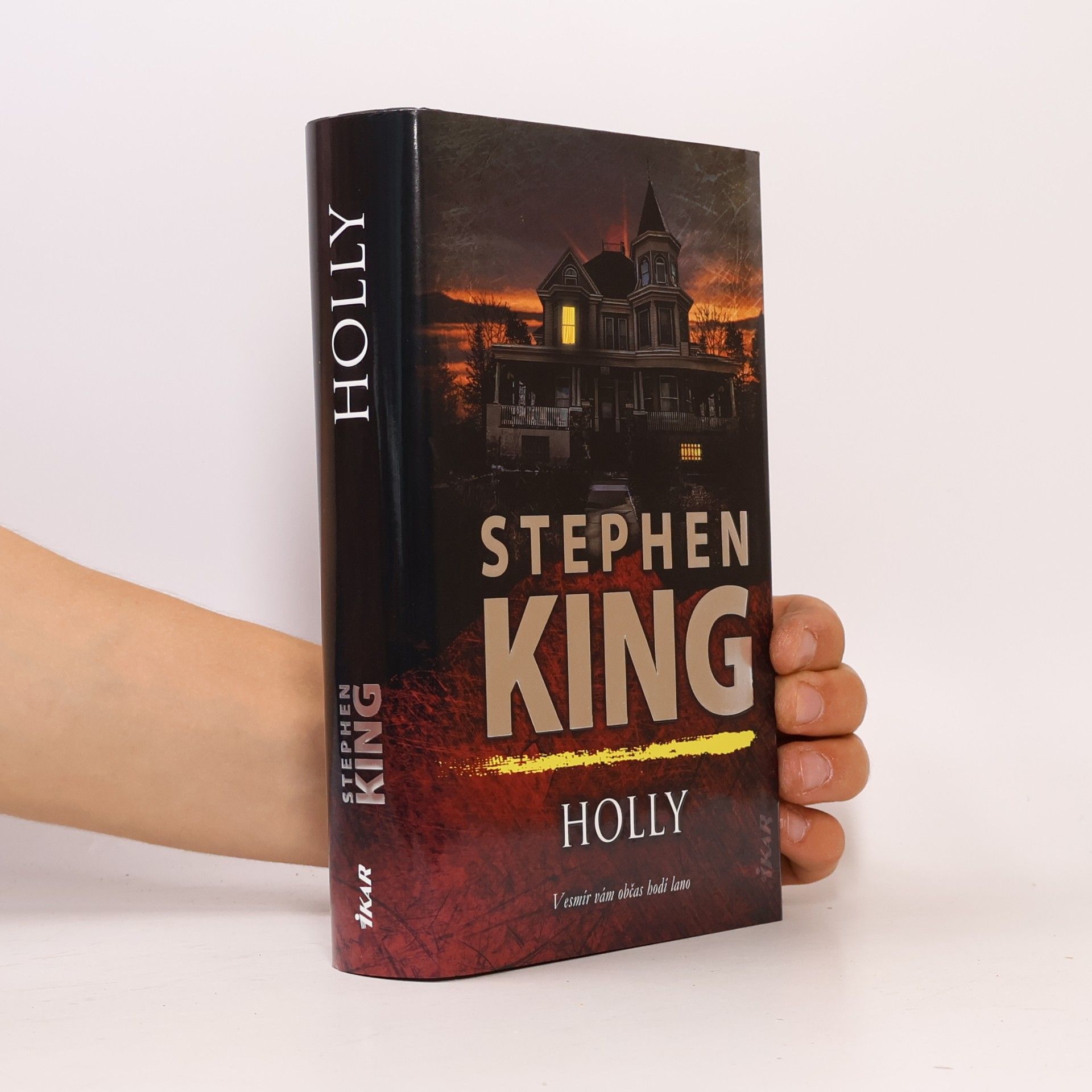 Stephen King Holly