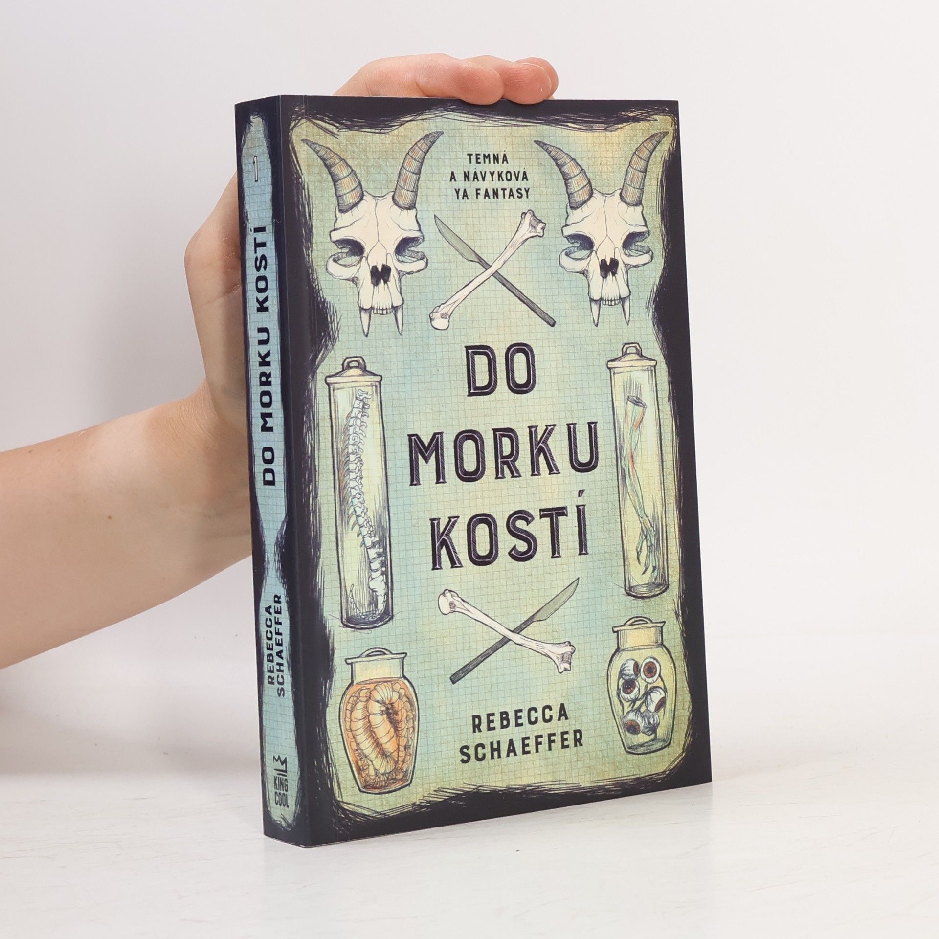 Do morku kostí