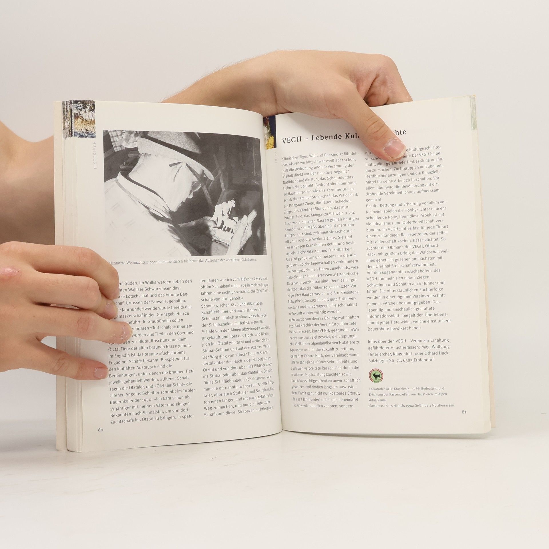 Eva Lechner Das Buch von den Schafen in Tirol
