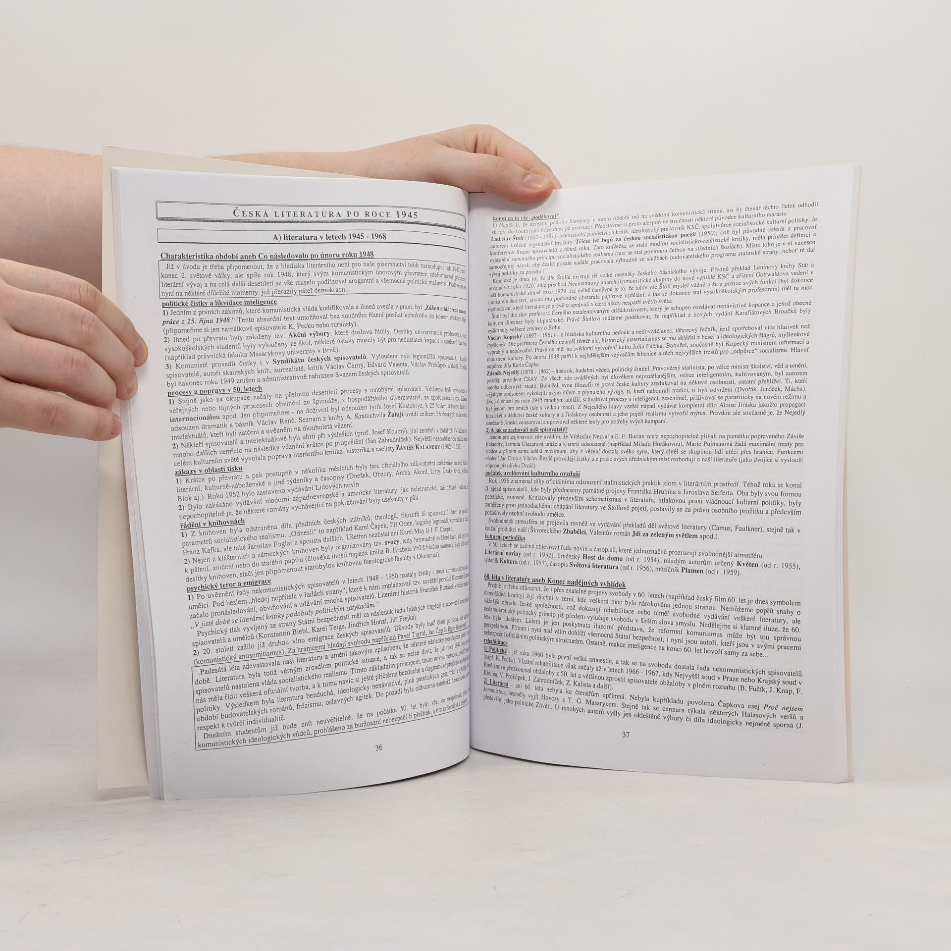 Vladimír Prokop Přehled české literatury 20. století
