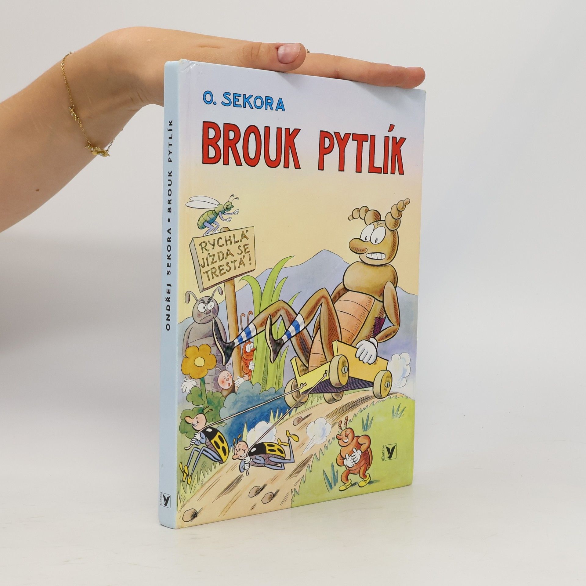 Ondřej Sekora Brouk Pytlík