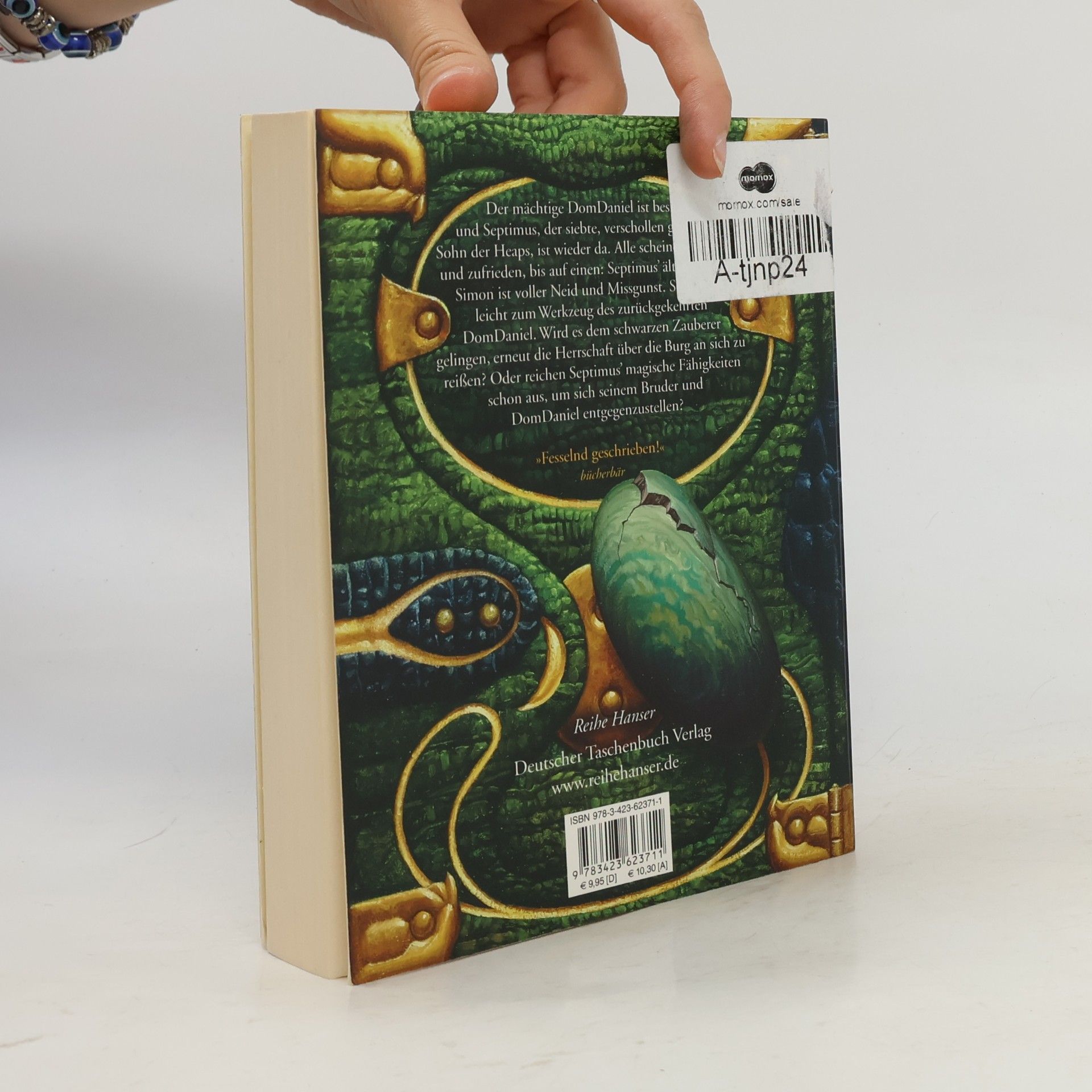 Angie Sage Septimus Heap: Flyte