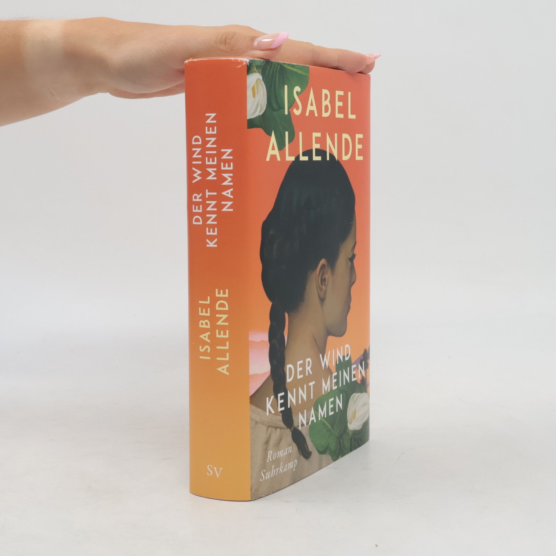 Isabel Allende Llona Der Wind kennt meinen Namen