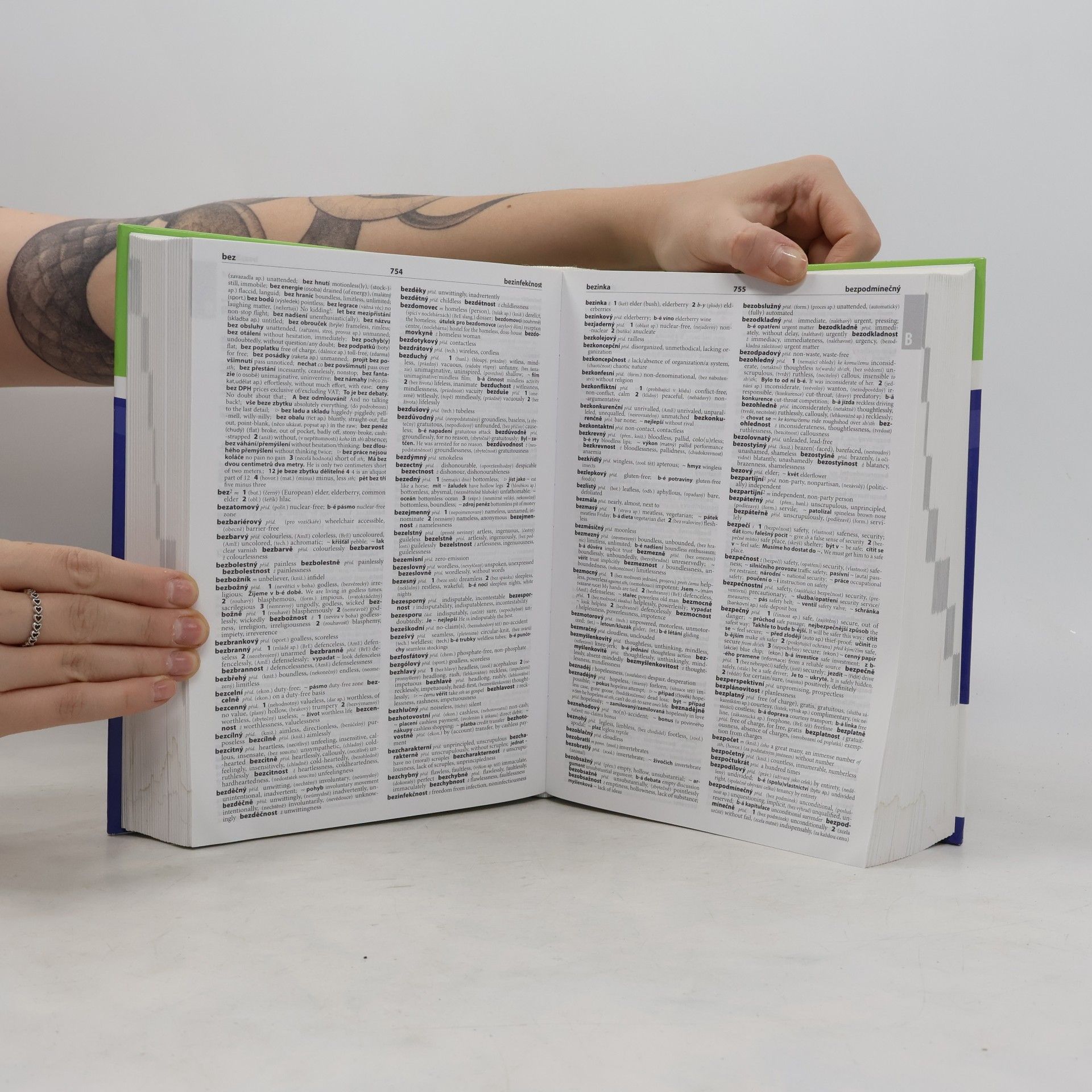 Various authors Velký slovník anglicko-český, česko-anglický