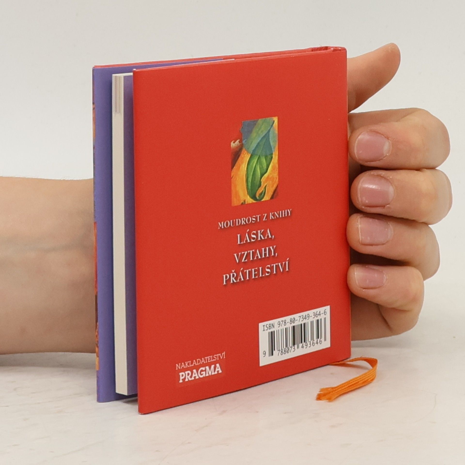 Don Miguel Ruiz Moudrost z knihy Láska, vztahy, přátelství
