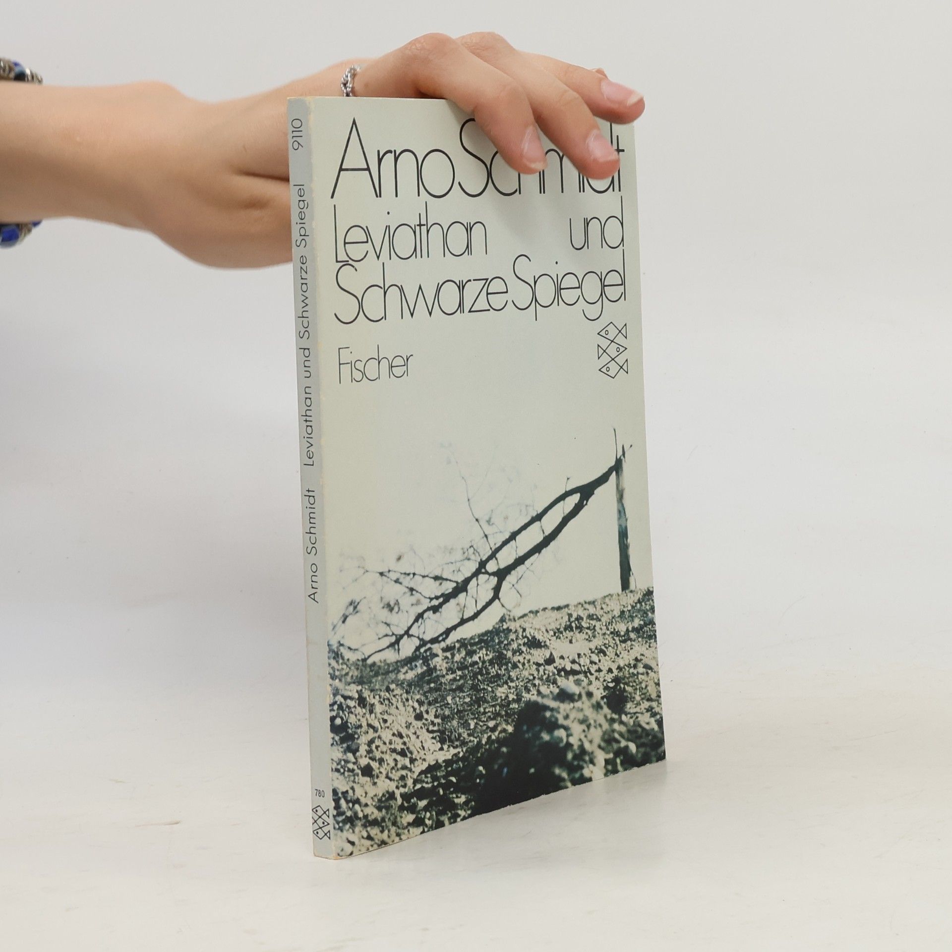 Arno Schmidt Leviathan und Schwarze Spiegel