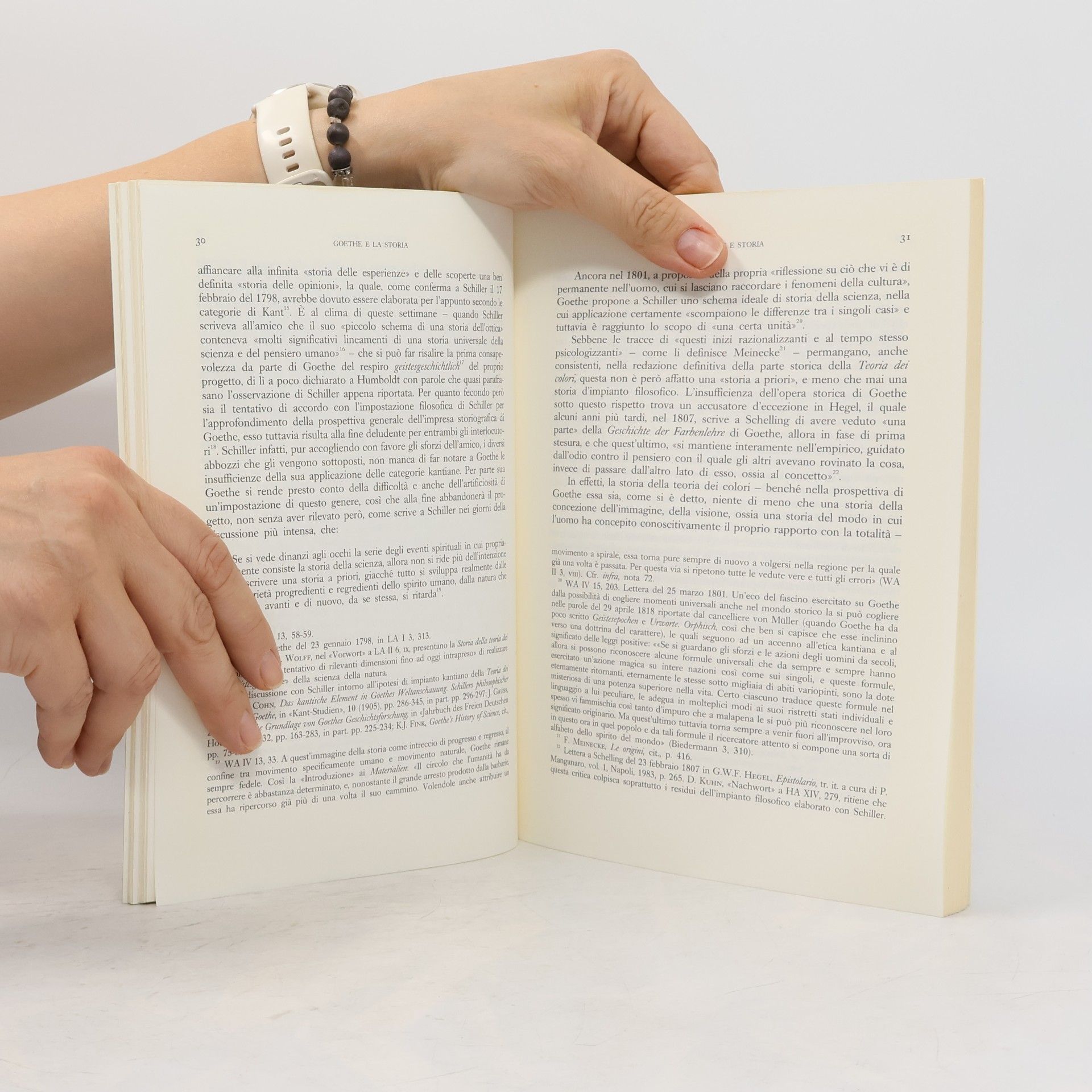 Leonardo Pica Ciamarra Goethe e la storia