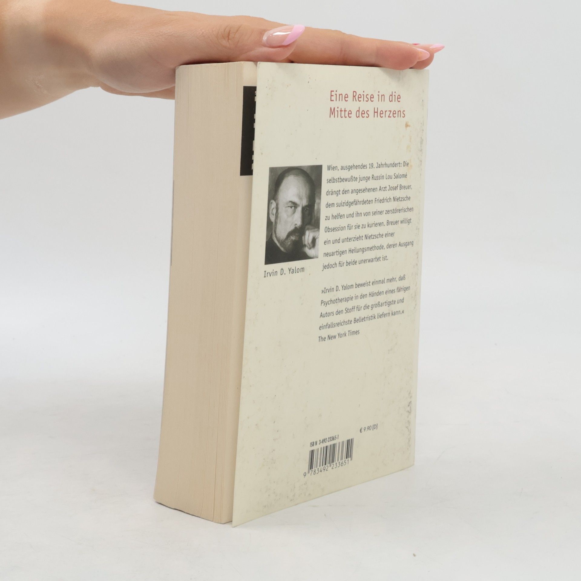 Irvin Yalom Und Nietzsche weinte