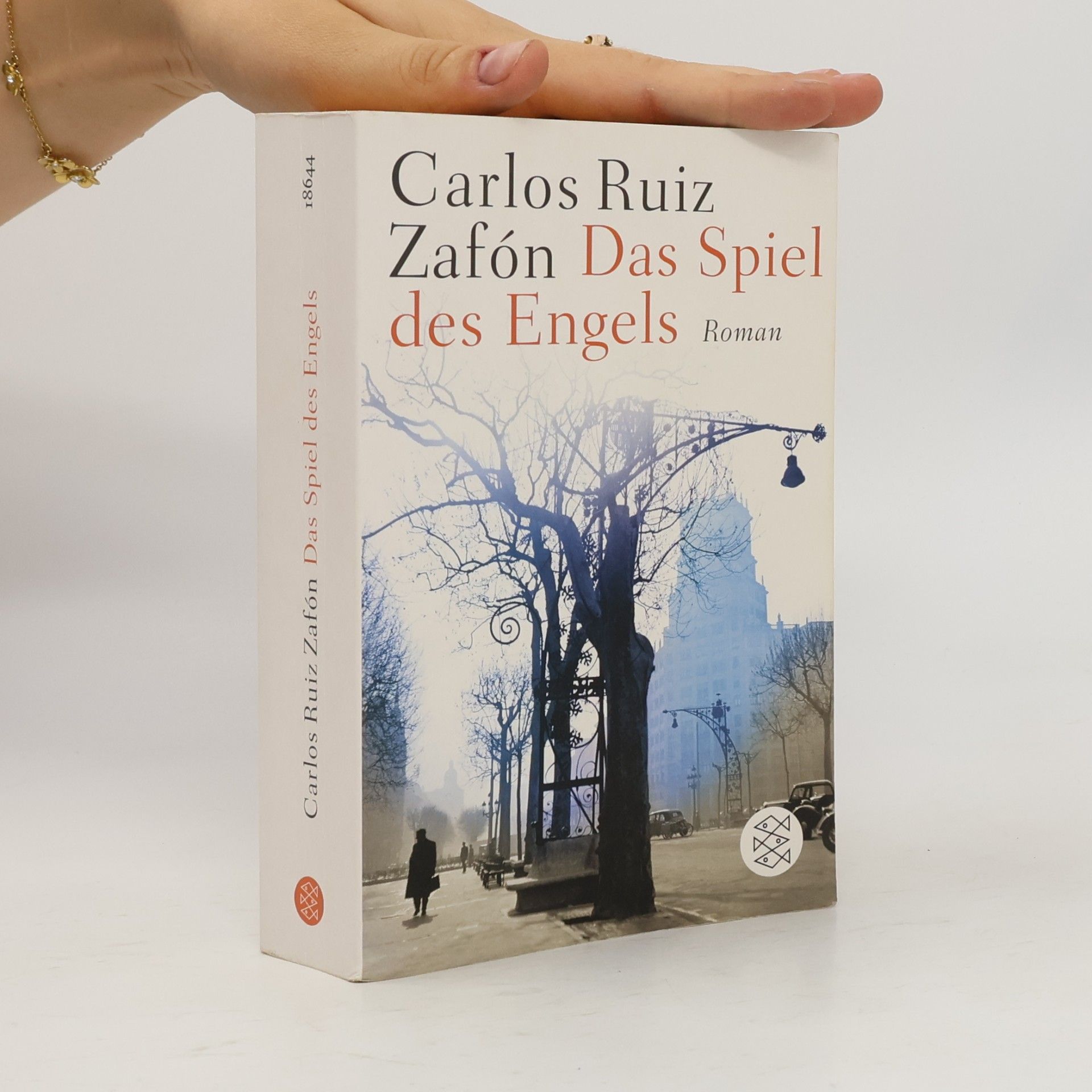 Carlos Ruiz Safon Das Spiel des Engels