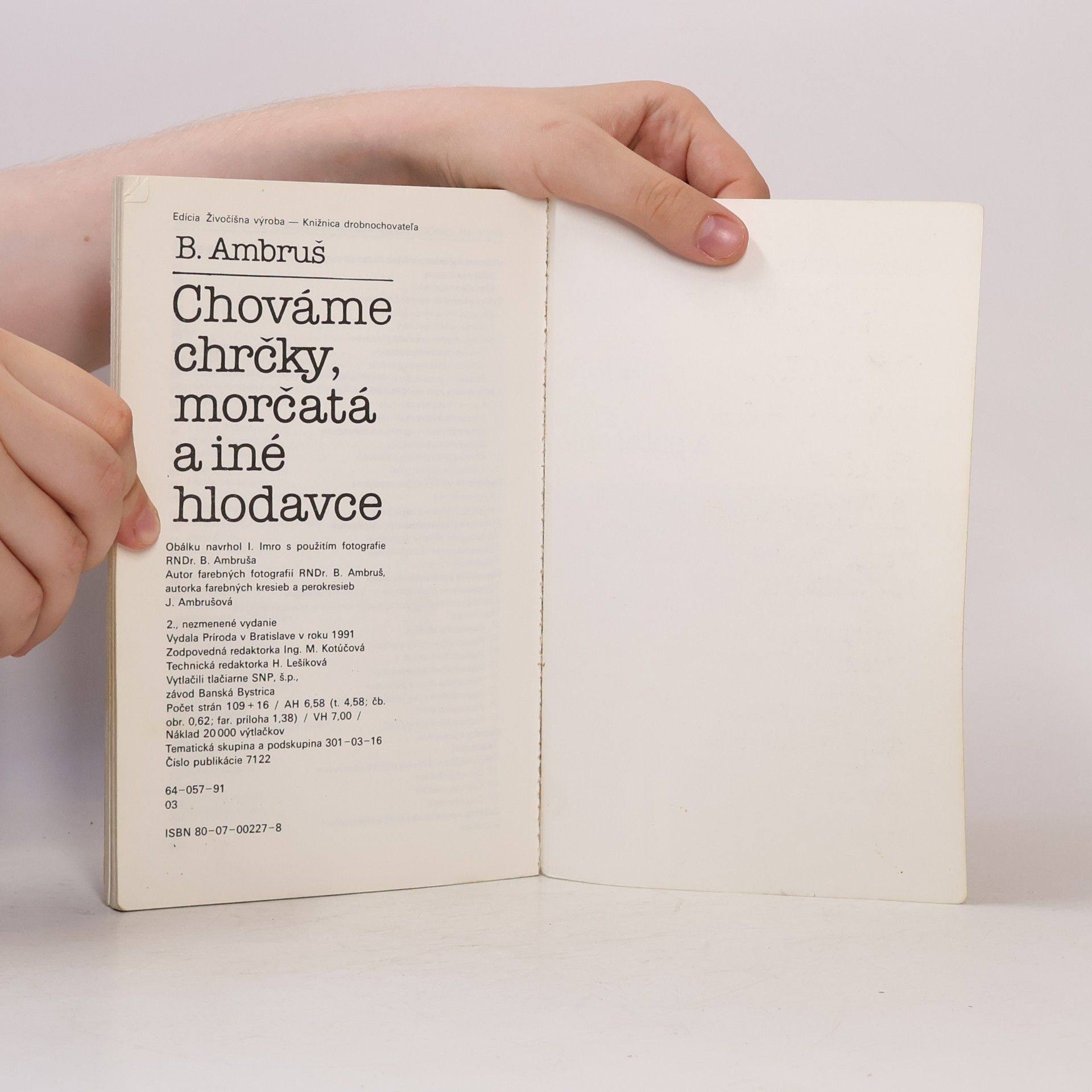 Bystrík Ambruš Chováme chrčky, morčatá a iné hlodavce 13