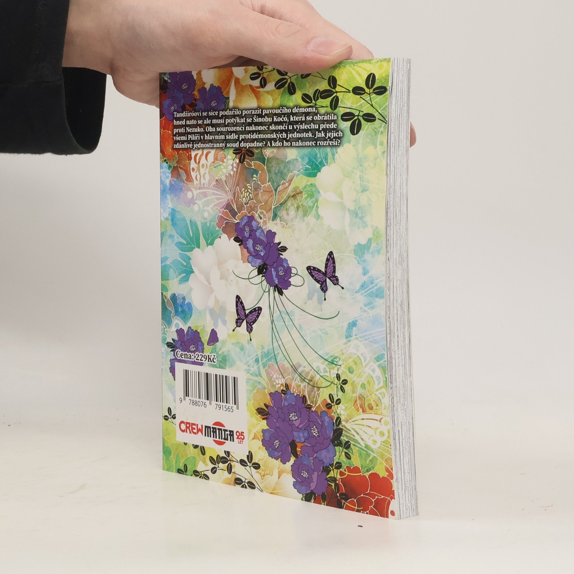 Koyoharu Gotōge Zabiják démonů. 6, Soud Pilířů