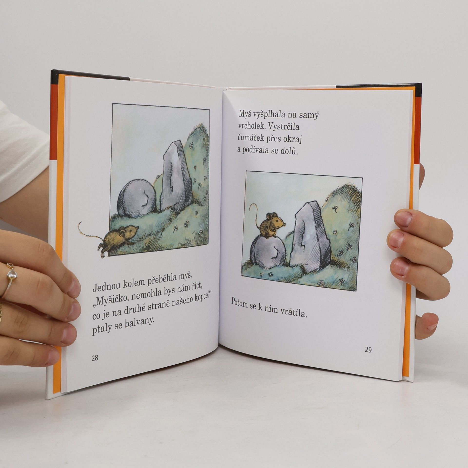 Arnold Lobel Myška a pohádková polívka