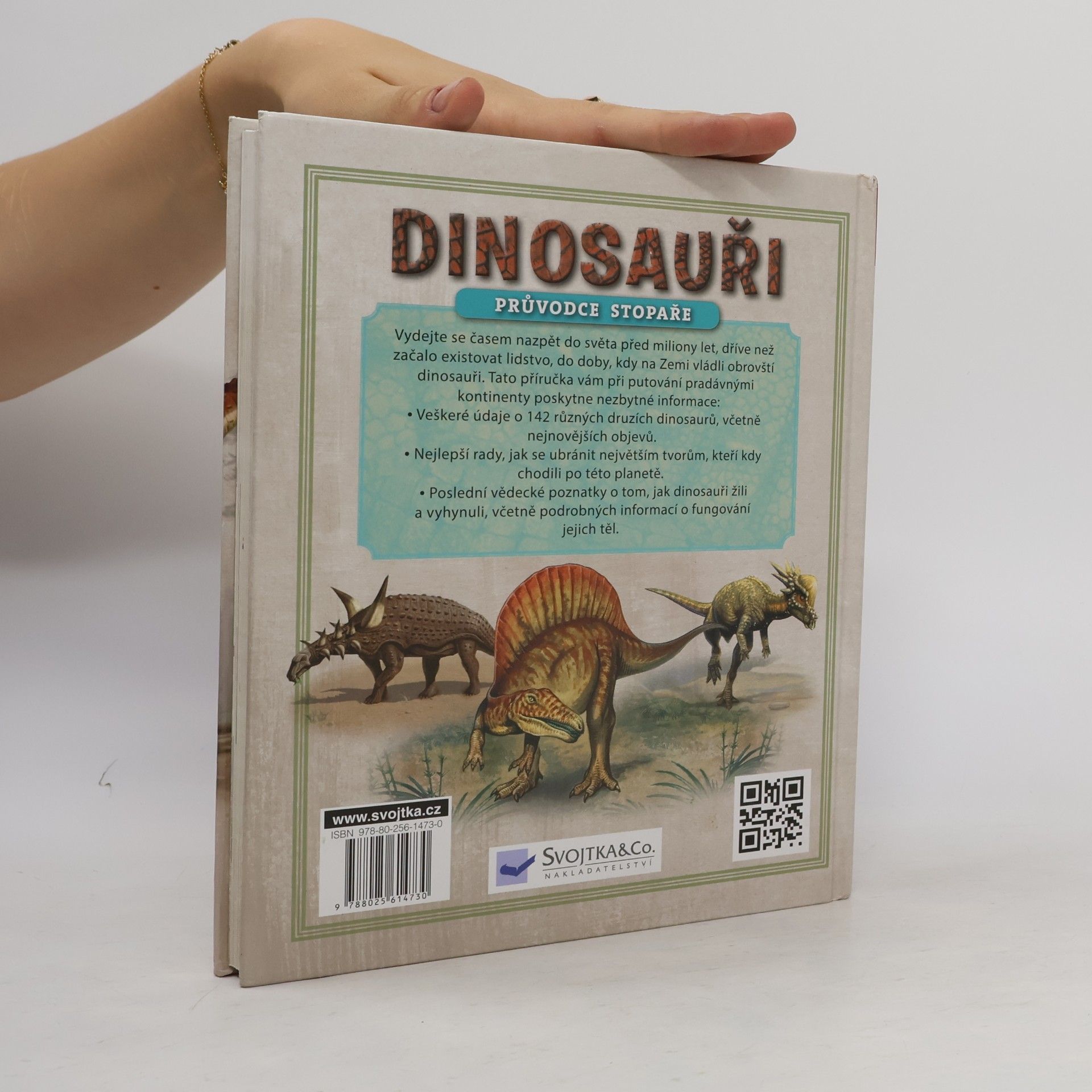 Autorenkollektiv Dinosauři: Průvodce stopaře
