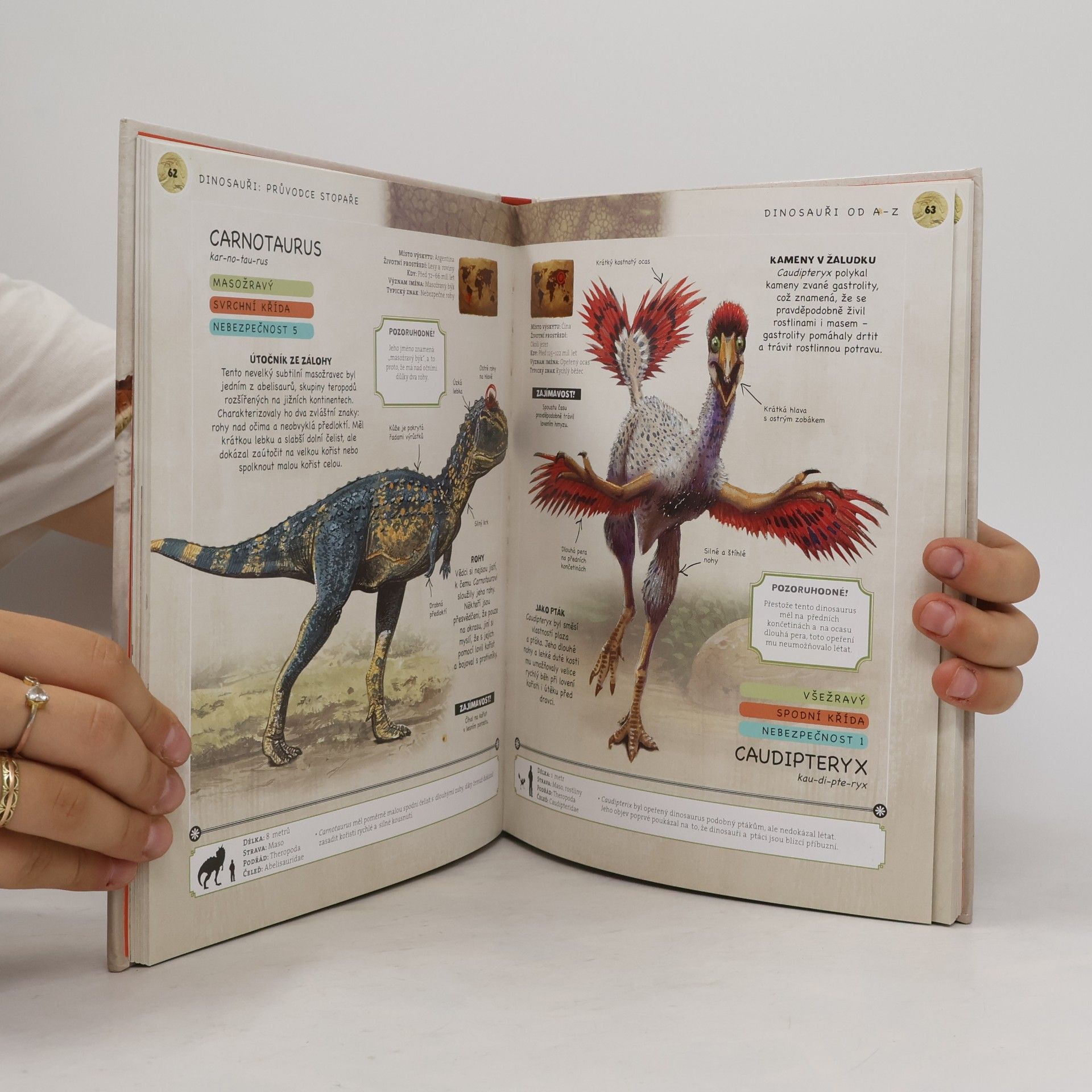 Autorenkollektiv Dinosauři: Průvodce stopaře
