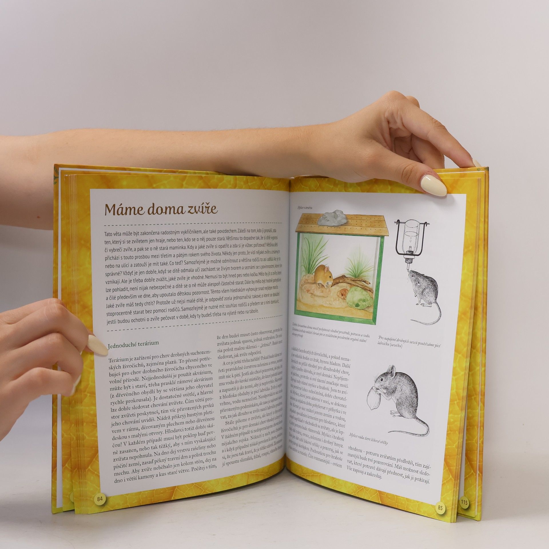Petr Rob Malá tajemství přírody 2. Příroda doma a v blízkém okolí