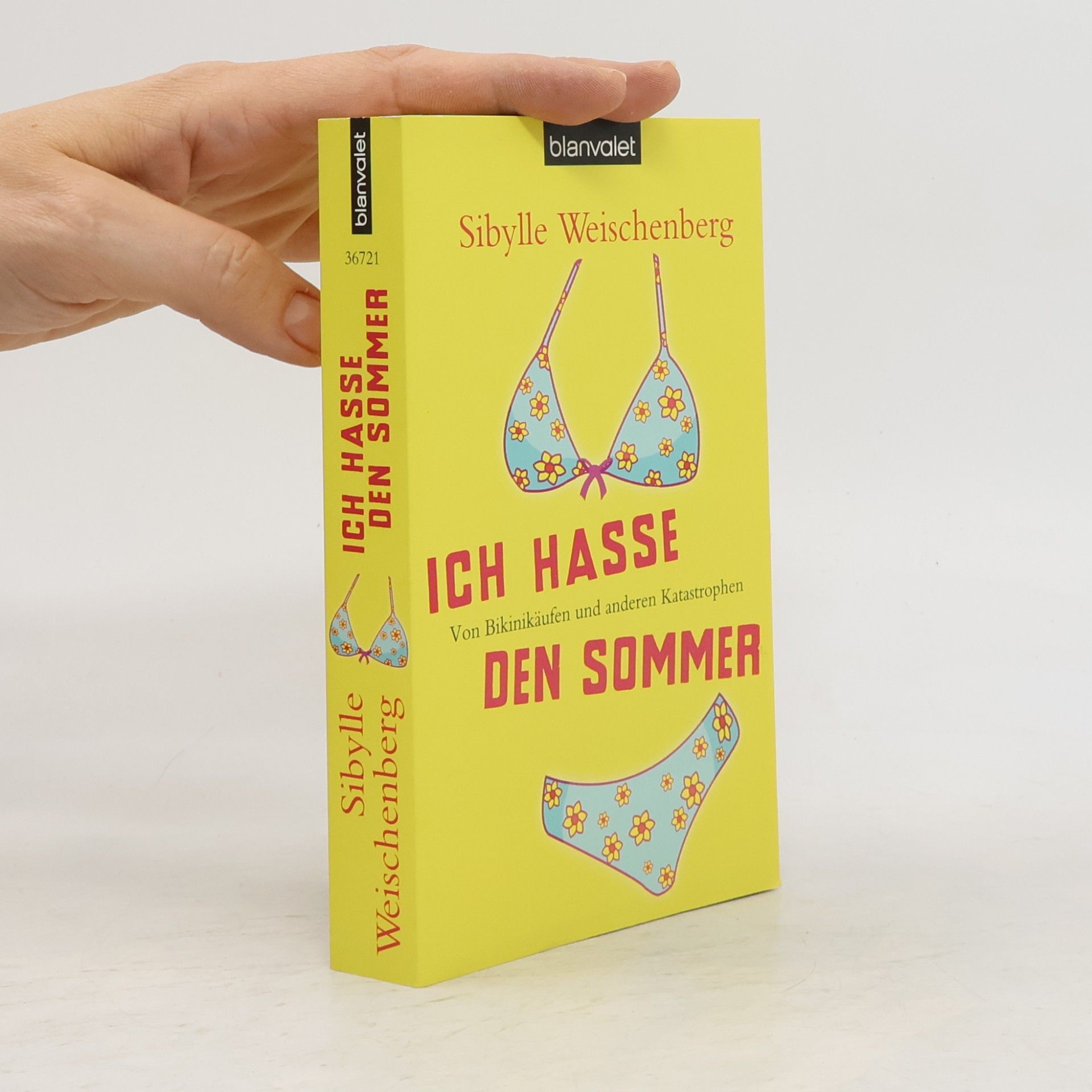 Sibylle Weischenberg Ich hasse den Sommer