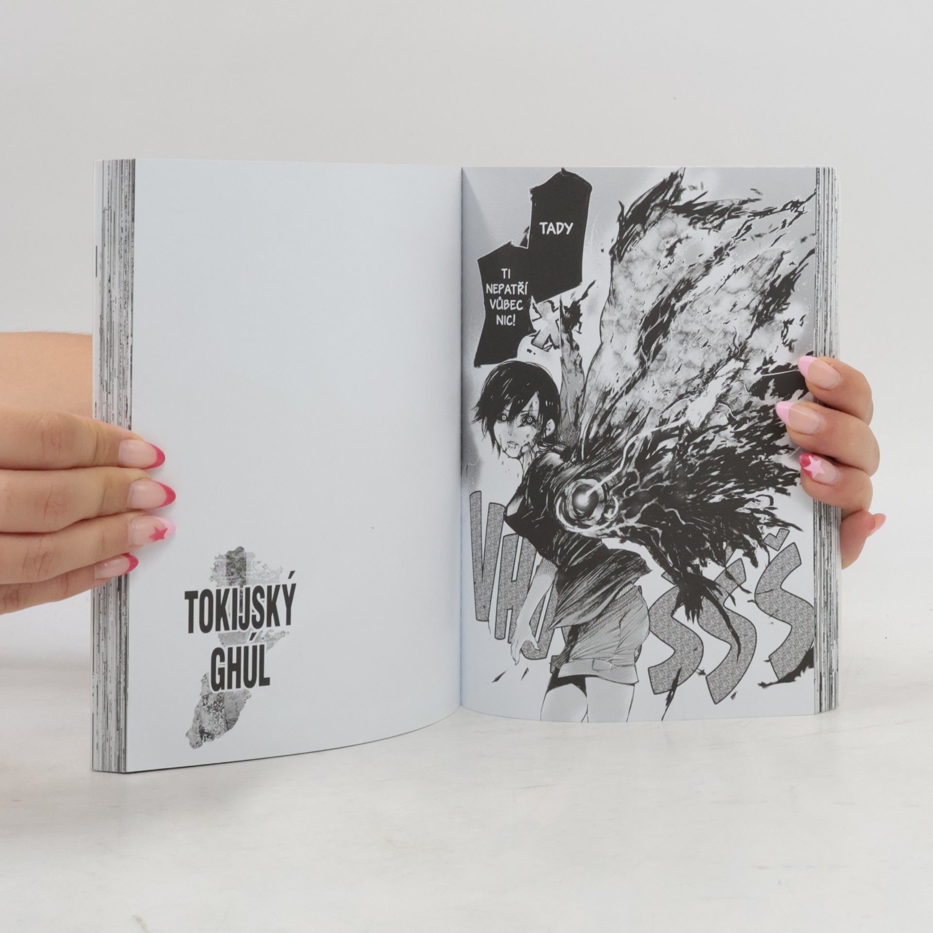 Sui Ishida Tokijský ghúl. 5. díl