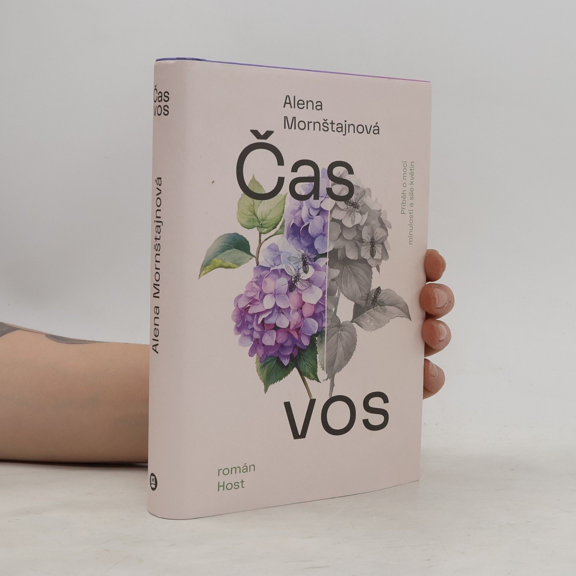Alena Mornštajnová Čas vos
